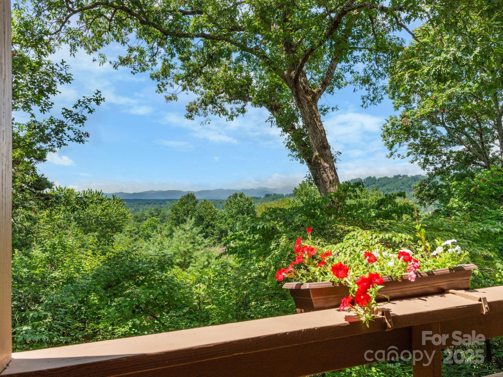 305 Piney Mountain Drive #C-1 - Photo 32