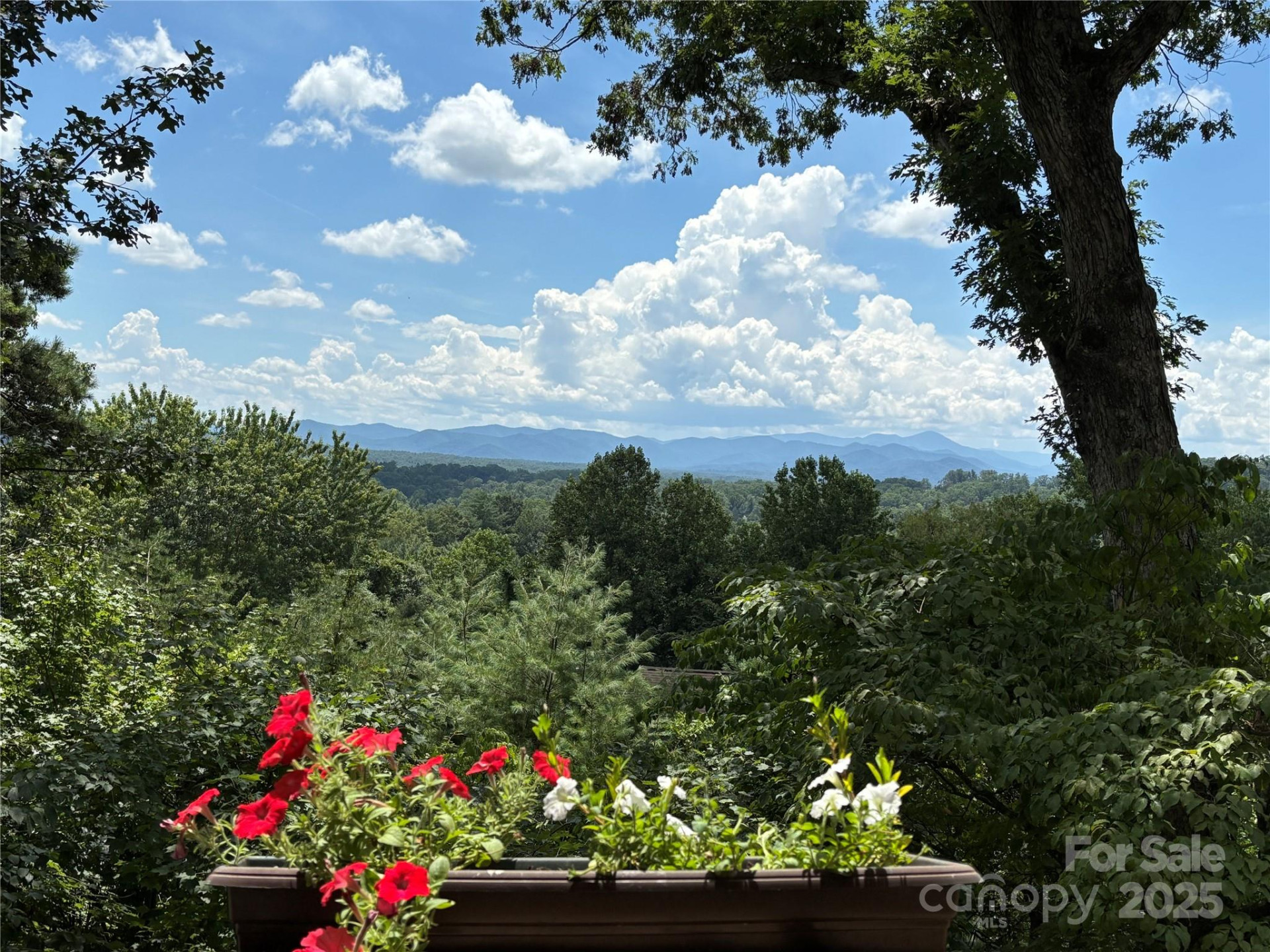 305 Piney Mountain Drive #C-1 - Photo 33