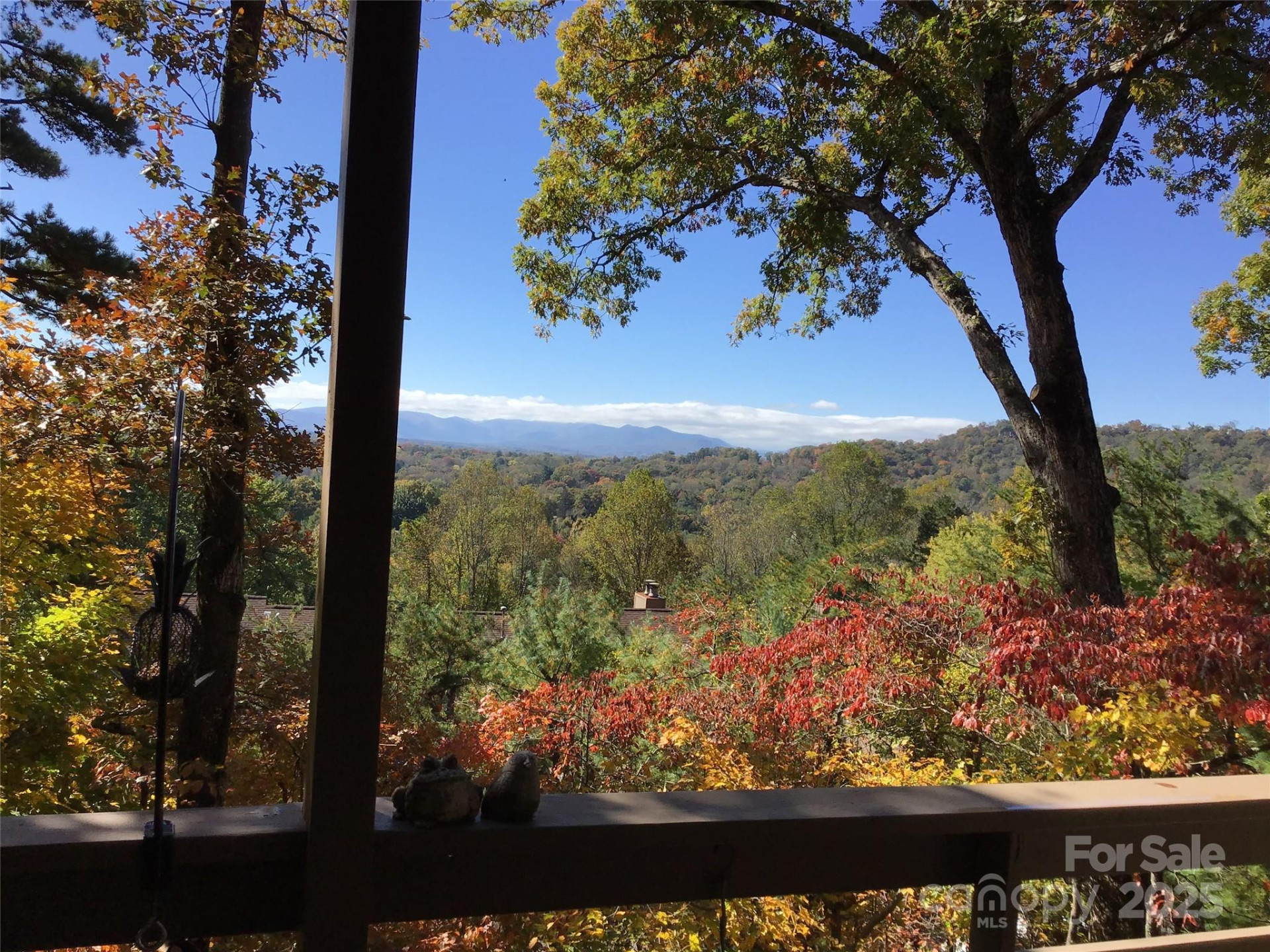 305 Piney Mountain Drive #C-1 - Photo 35