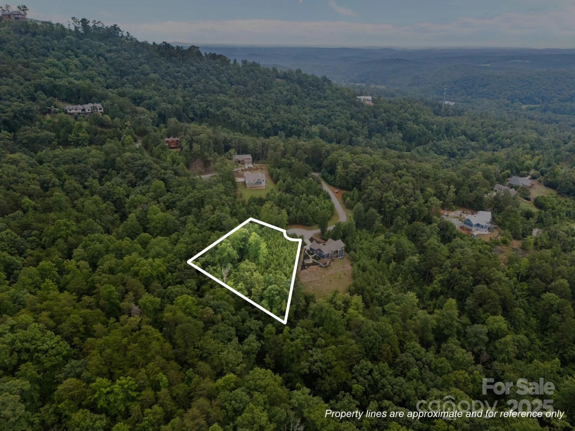 00000 Deer Jump Trail #351 - Photo 2