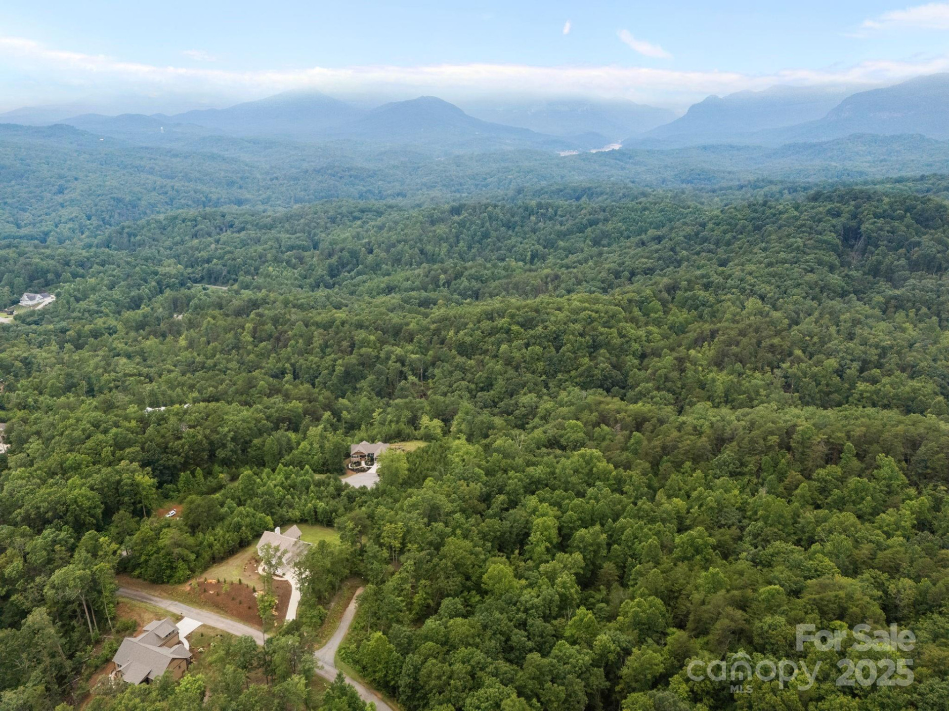 00000 Deer Jump Trail #351 - Photo 11