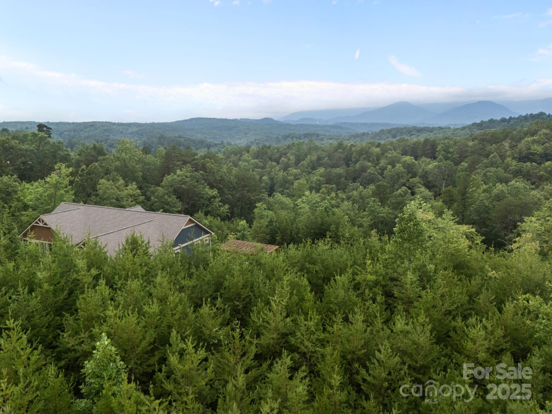 00000 Deer Jump Trail #351 - Photo 16