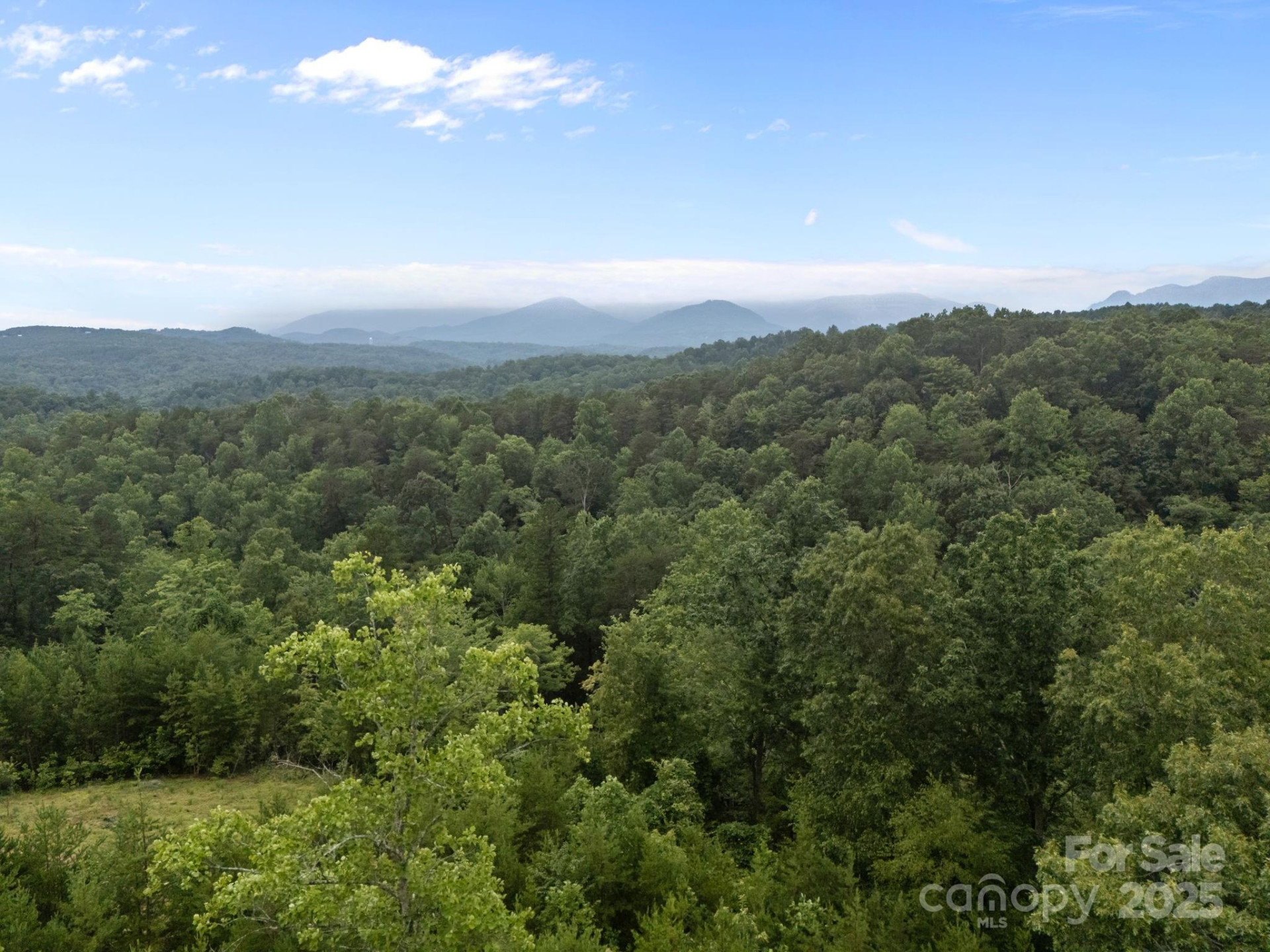 00000 Deer Jump Trail #351 - Photo 17