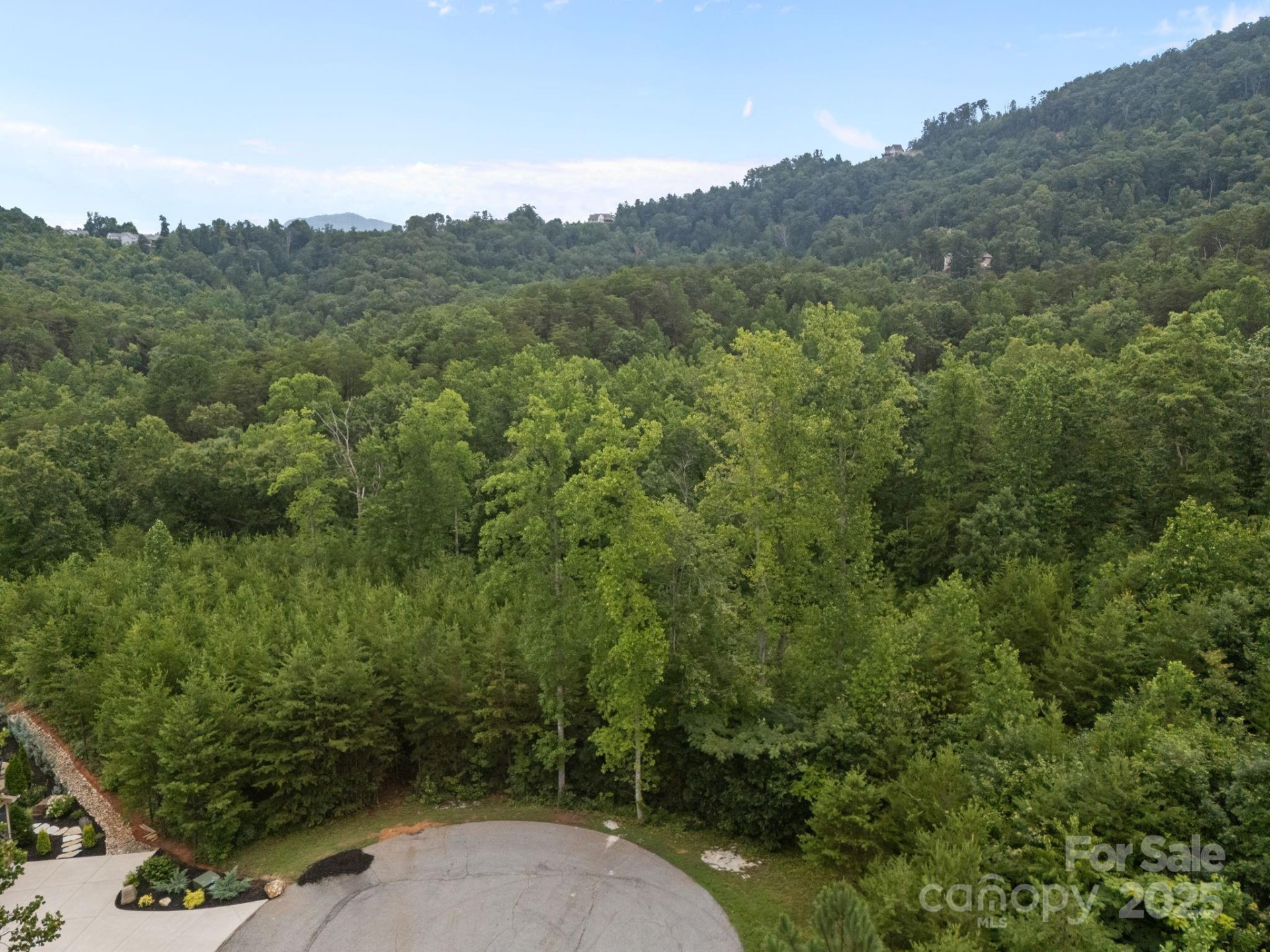 00000 Deer Jump Trail #351 - Photo 4