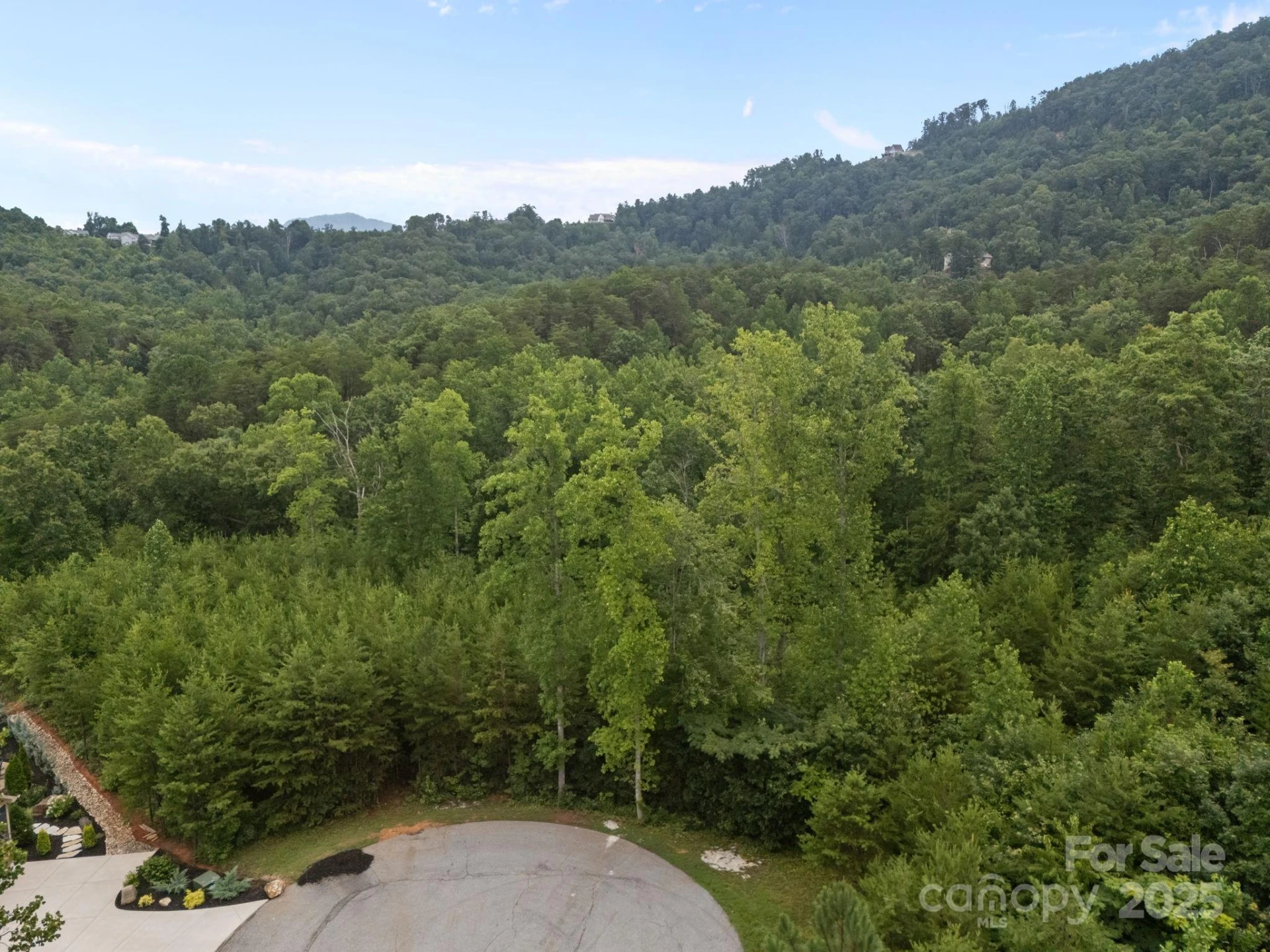00000 Deer Jump Trail #351 - Photo 4