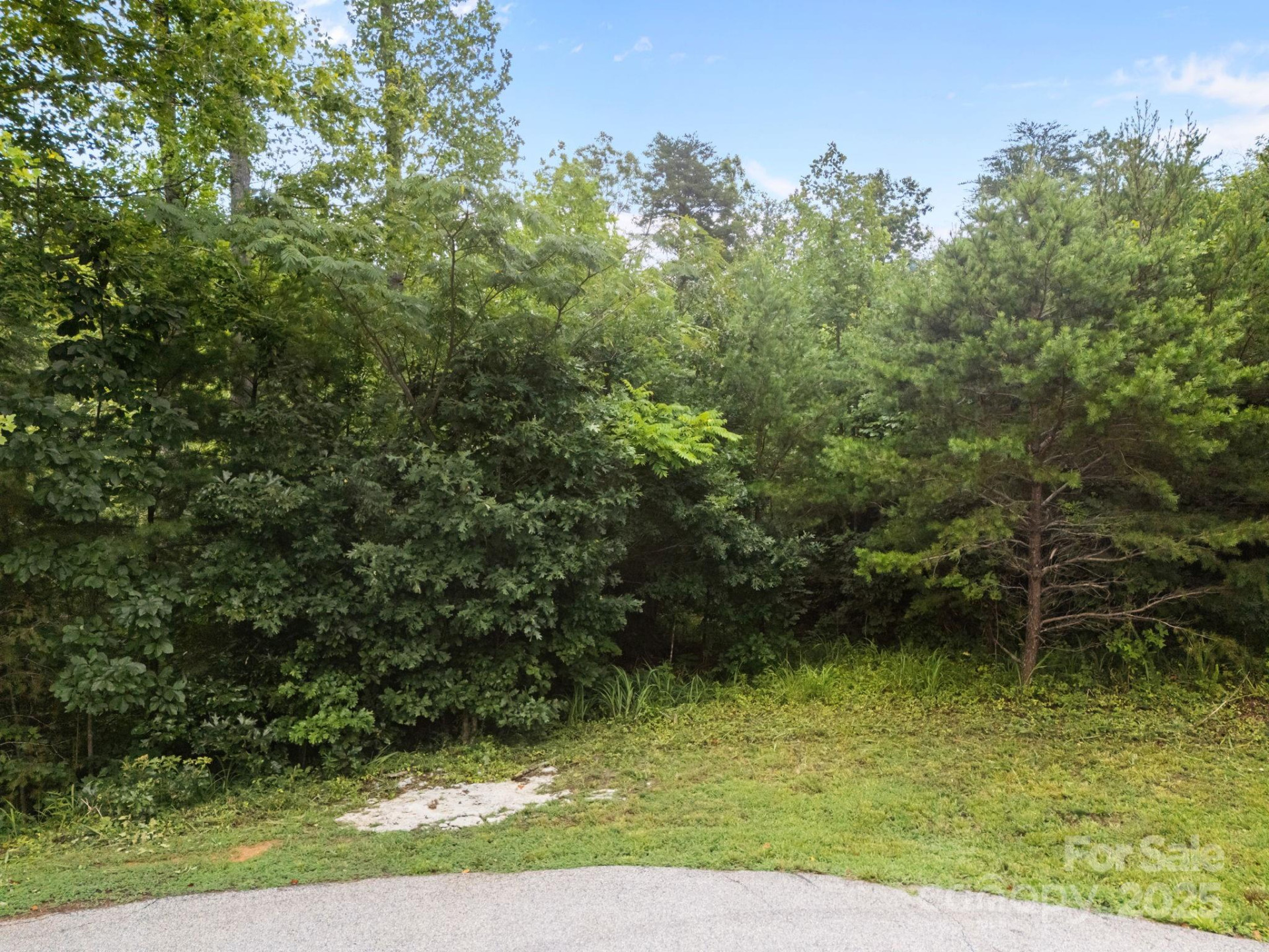 00000 Deer Jump Trail #351 - Photo 5