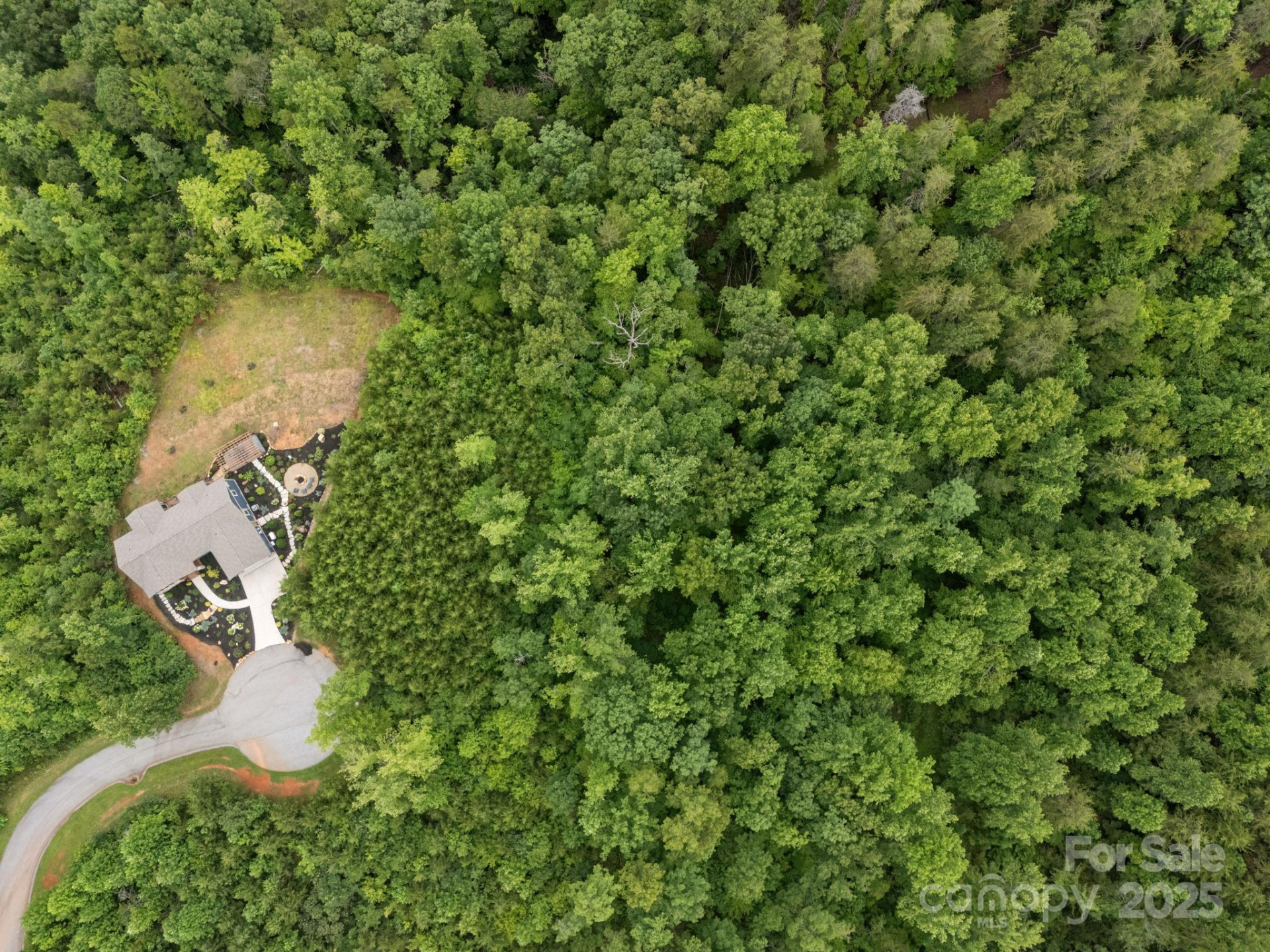 00000 Deer Jump Trail #351 - Photo 6