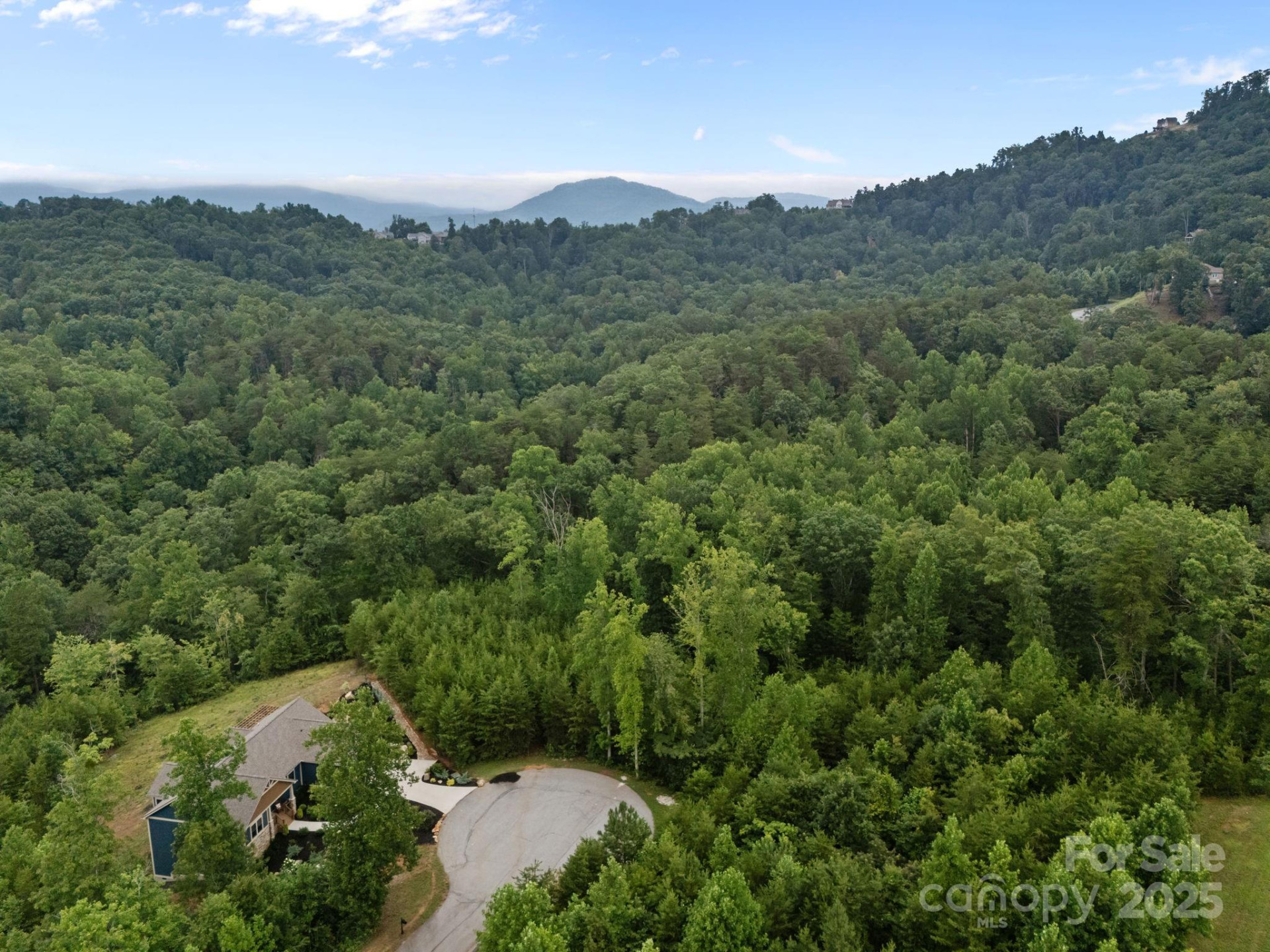 00000 Deer Jump Trail #351 - Photo 7