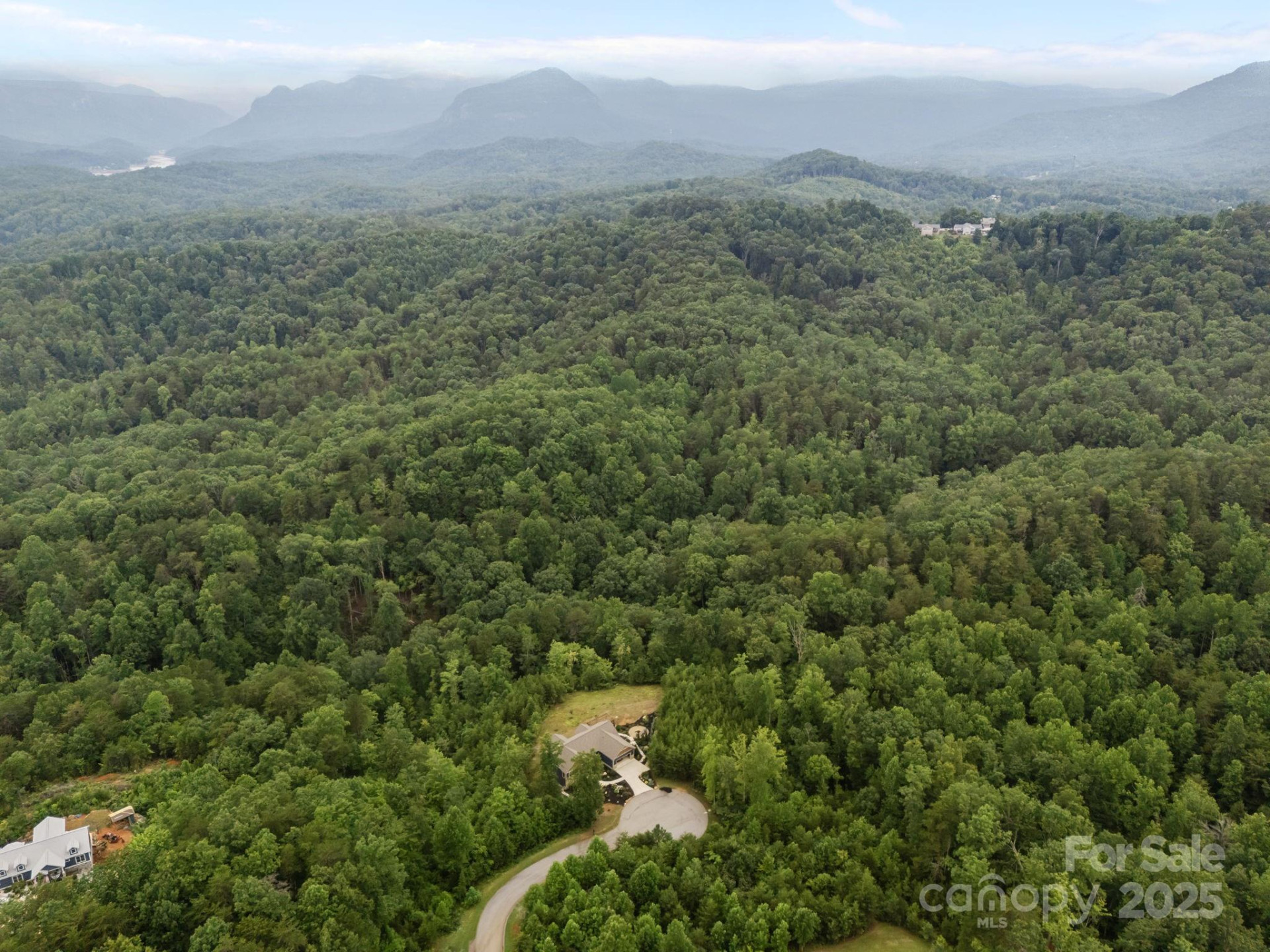 00000 Deer Jump Trail #351 - Photo 8