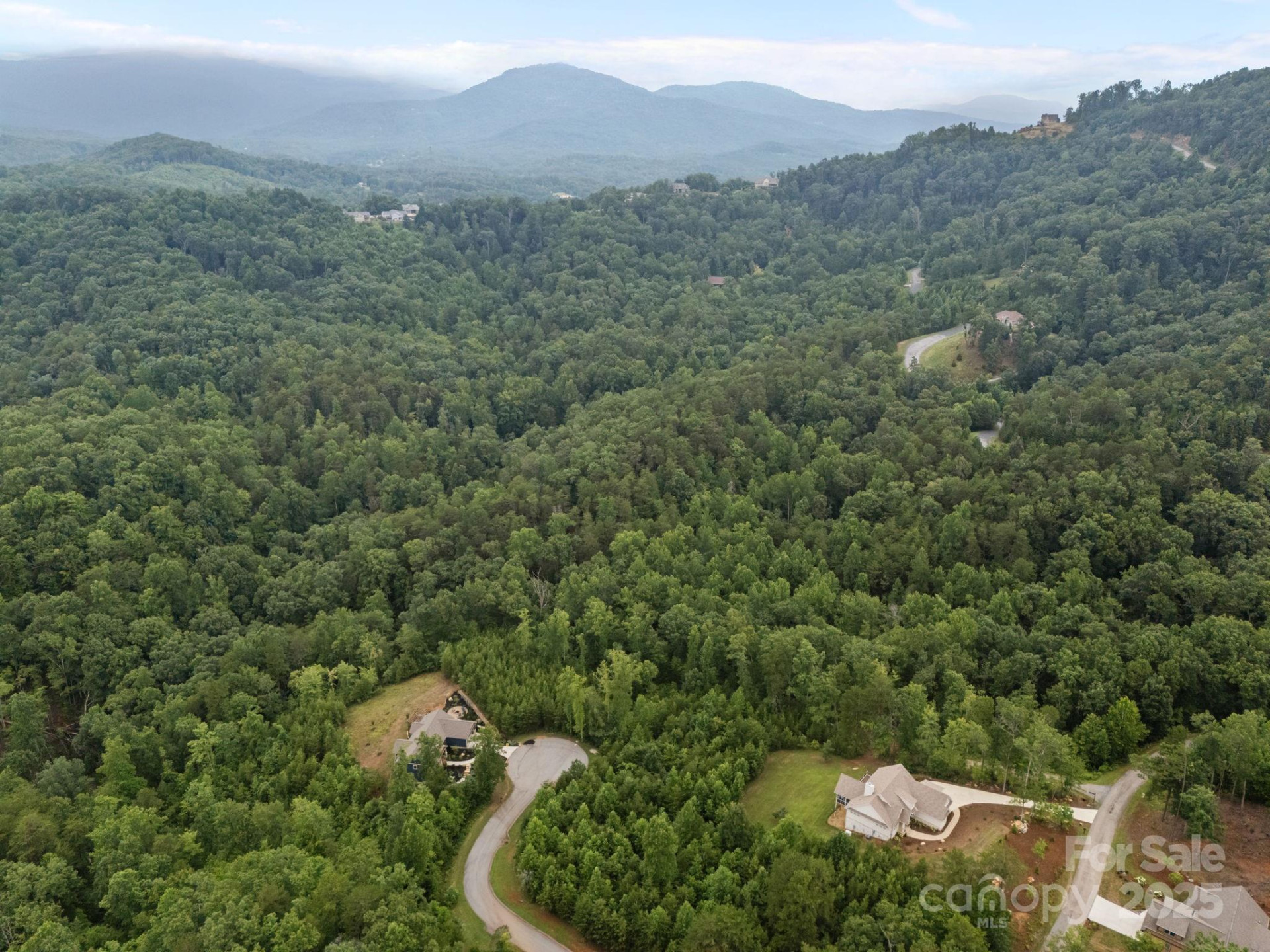 00000 Deer Jump Trail #351 - Photo 9