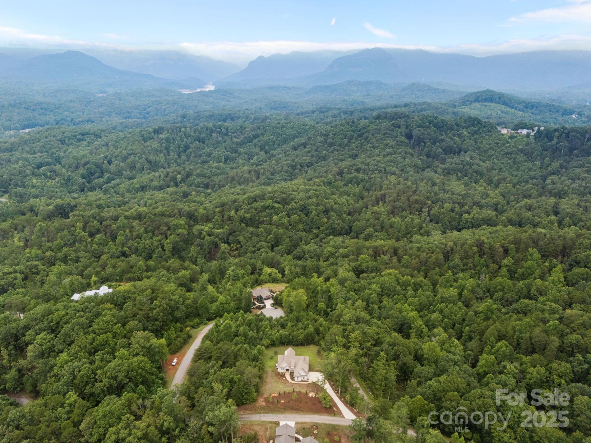 00000 Deer Jump Trail #351 - Photo 10