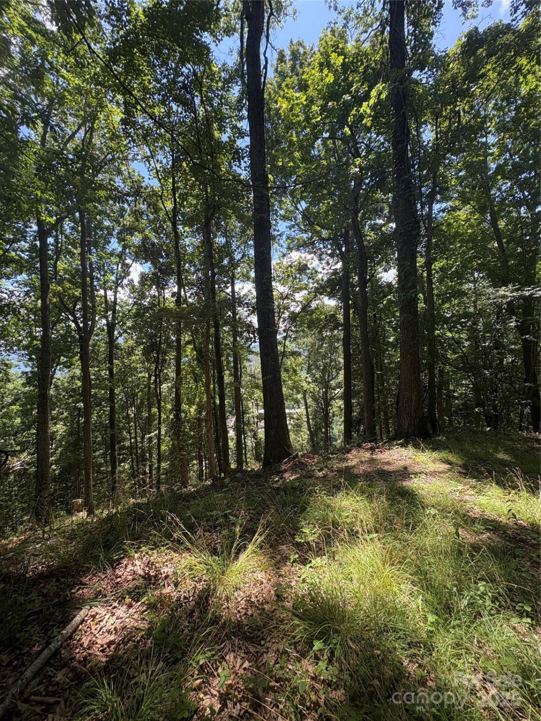 0000 Wheeler Hills Road - Photo 6