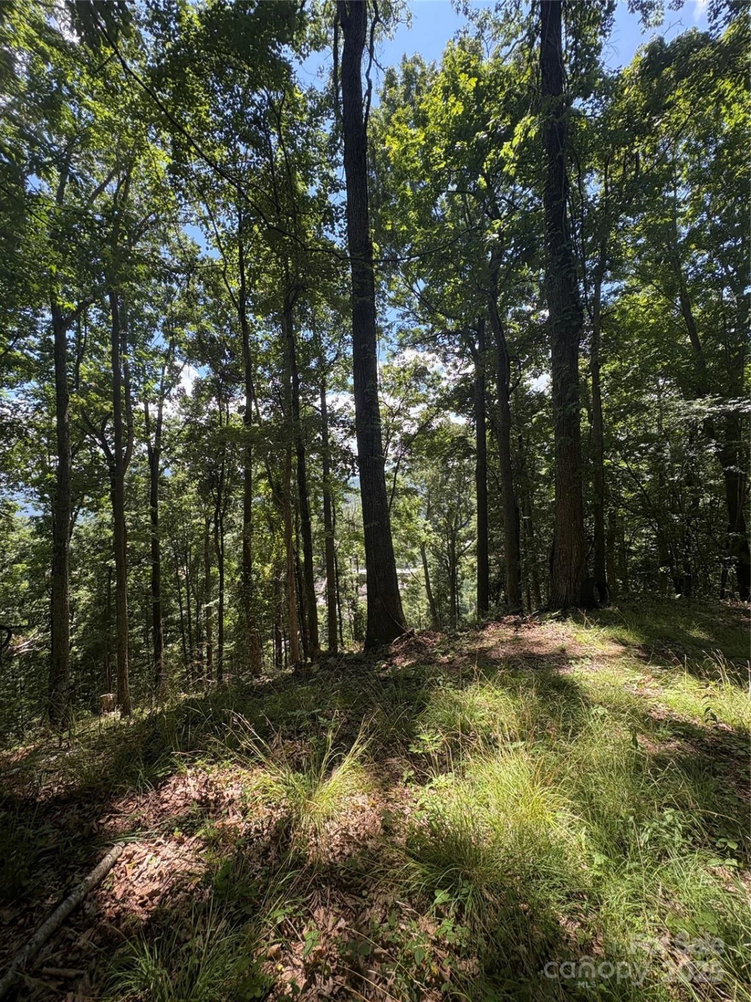0000 Wheeler Hills Road - Photo 6
