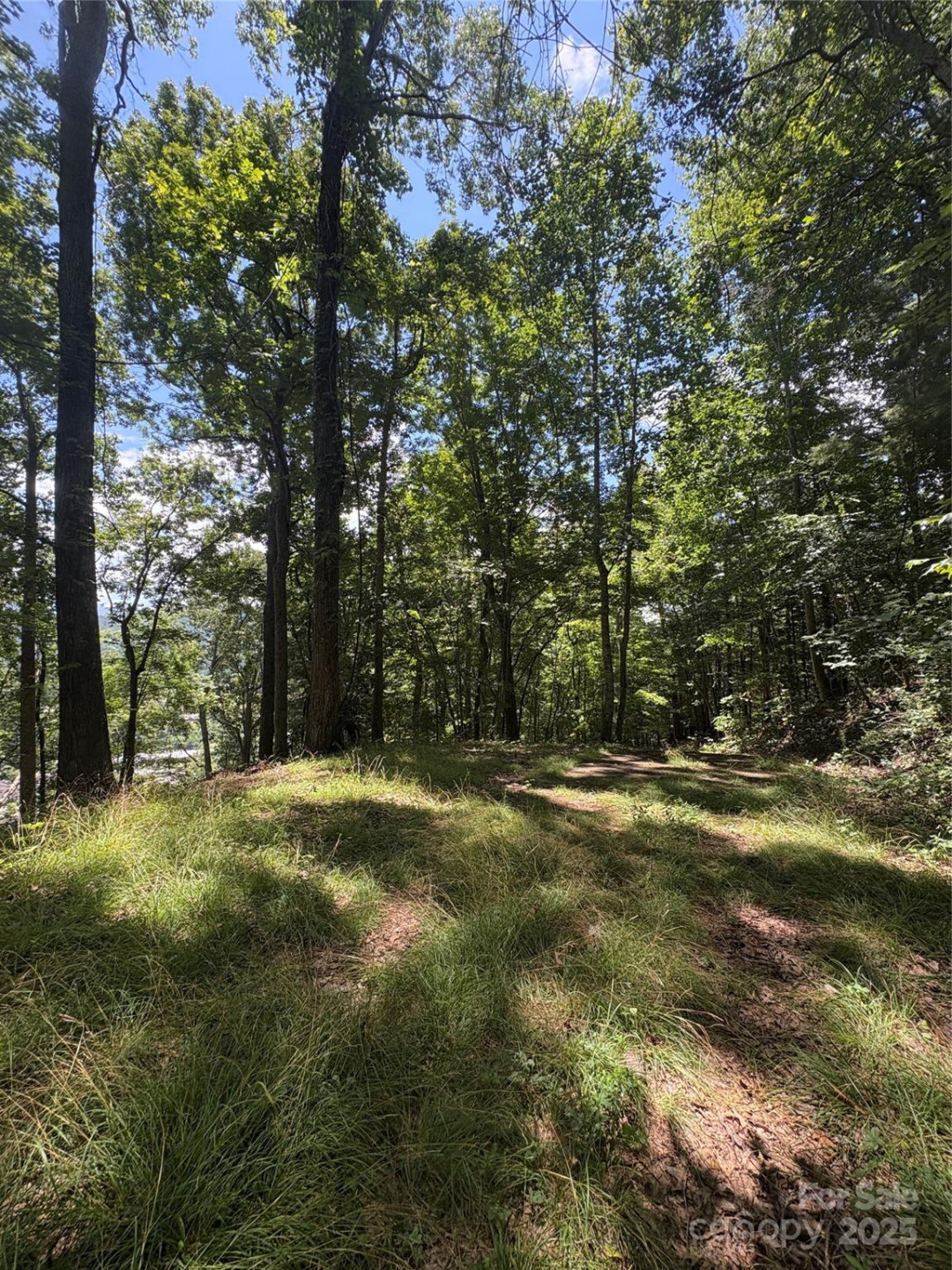 0000 Wheeler Hills Road - Photo 8