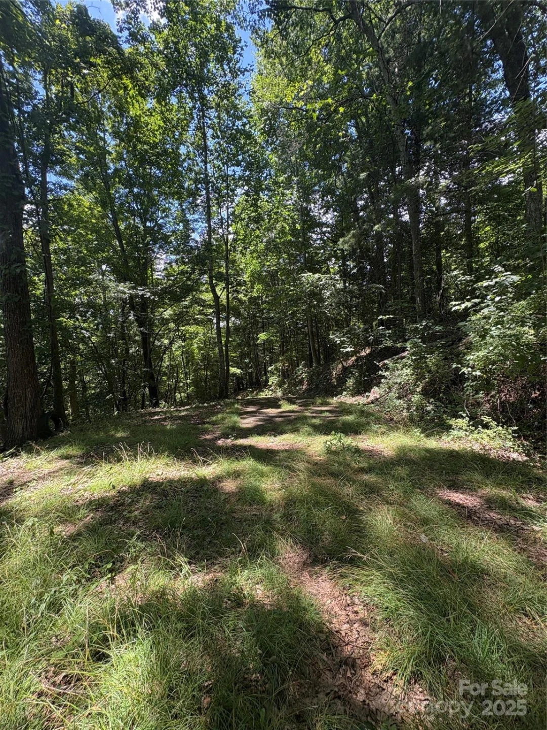 0000 Wheeler Hills Road - Photo 9