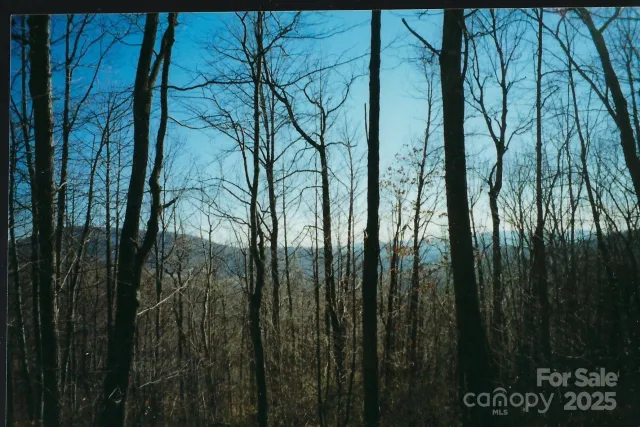 Lot #35 Damselfly Court, Spruce Pine, NC, 28777