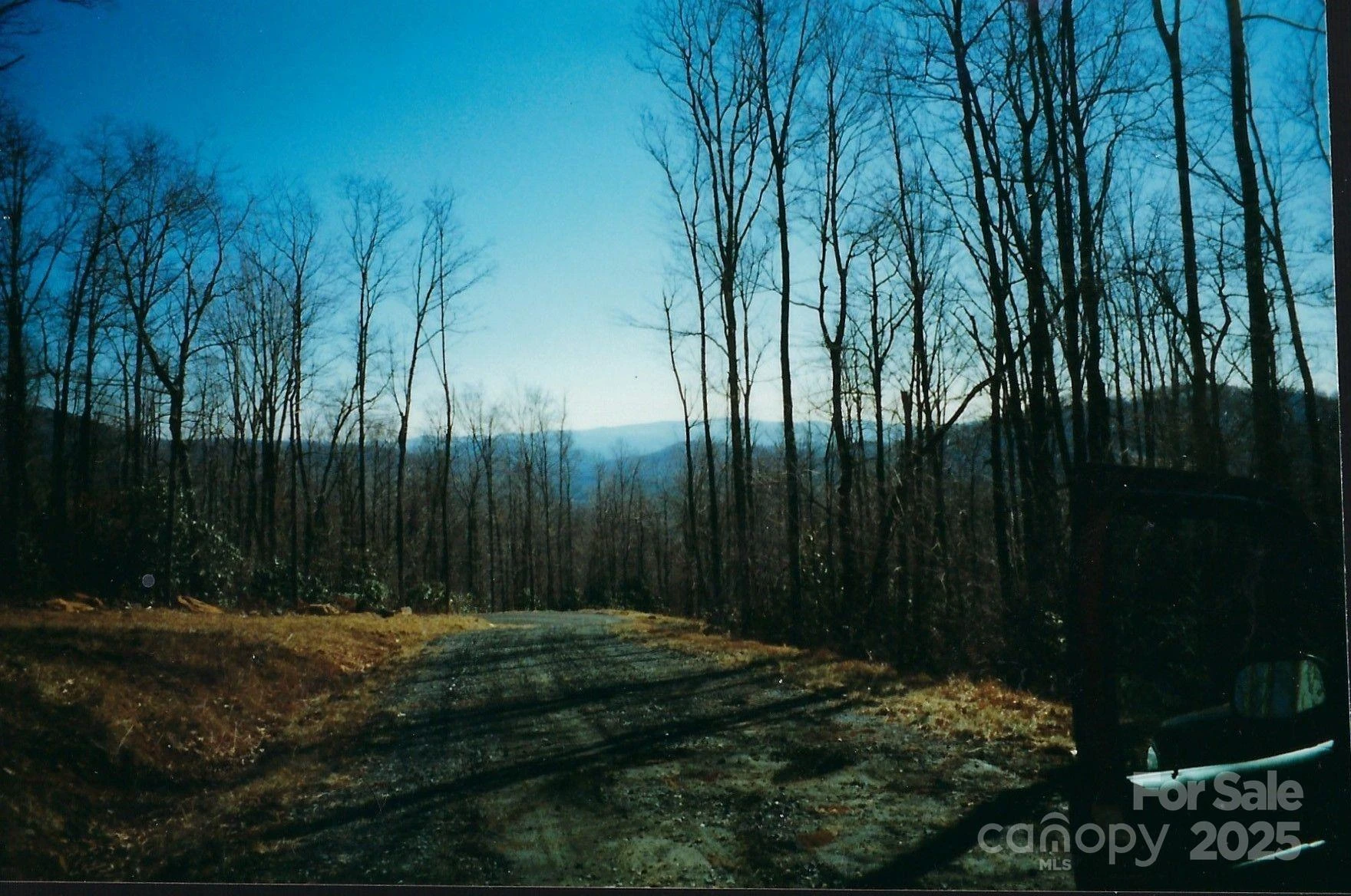 Lot #35 Damselfly Court - Photo 2