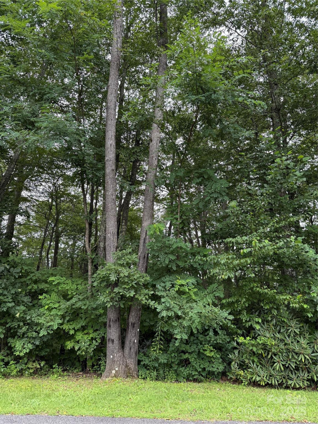 Lot #35 Damselfly Court - Photo 11