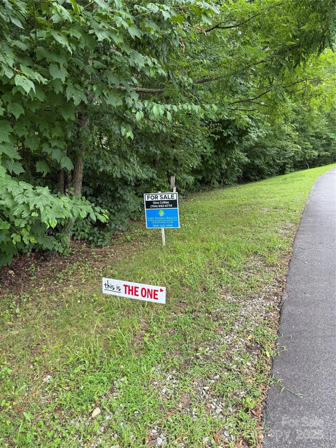 Lot #35 Damselfly Court - Photo 3