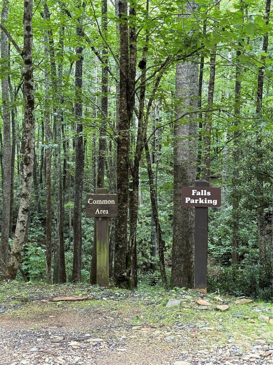 Lot #35 Damselfly Court - Photo 5