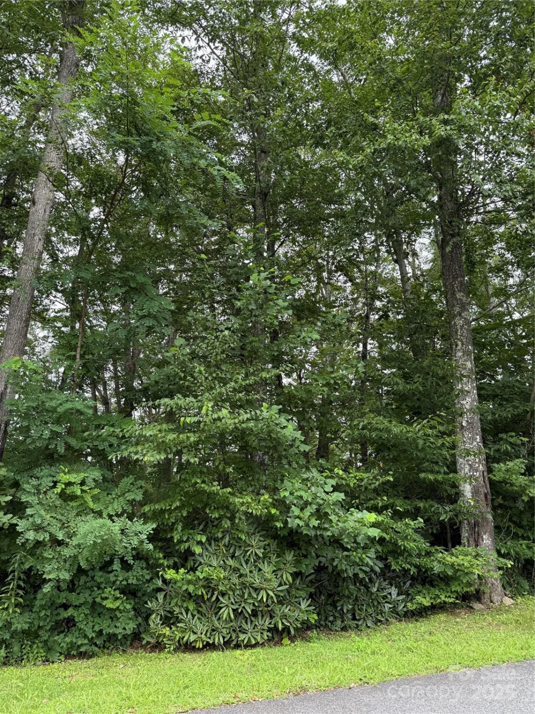 Lot #35 Damselfly Court - Photo 9