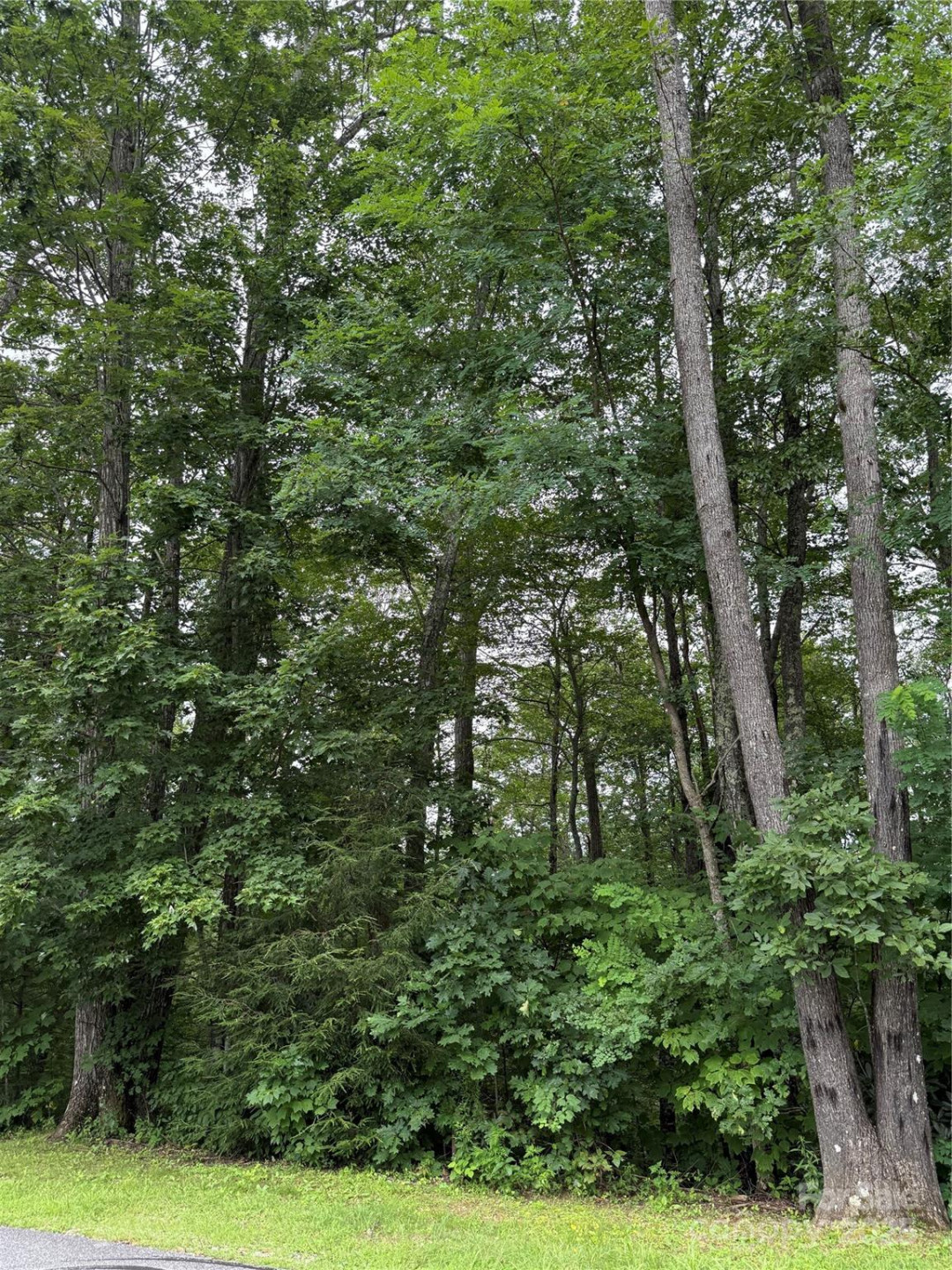 Lot #35 Damselfly Court - Photo 10