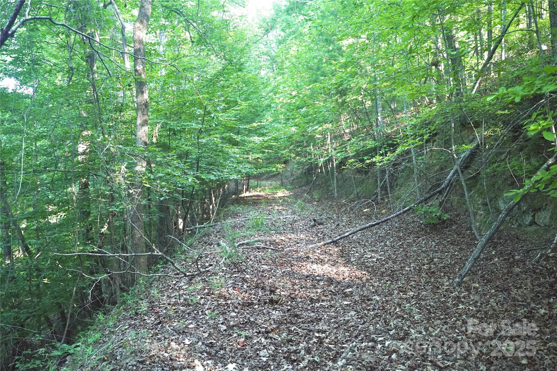 0 Parkway North None #13 - Photo 4