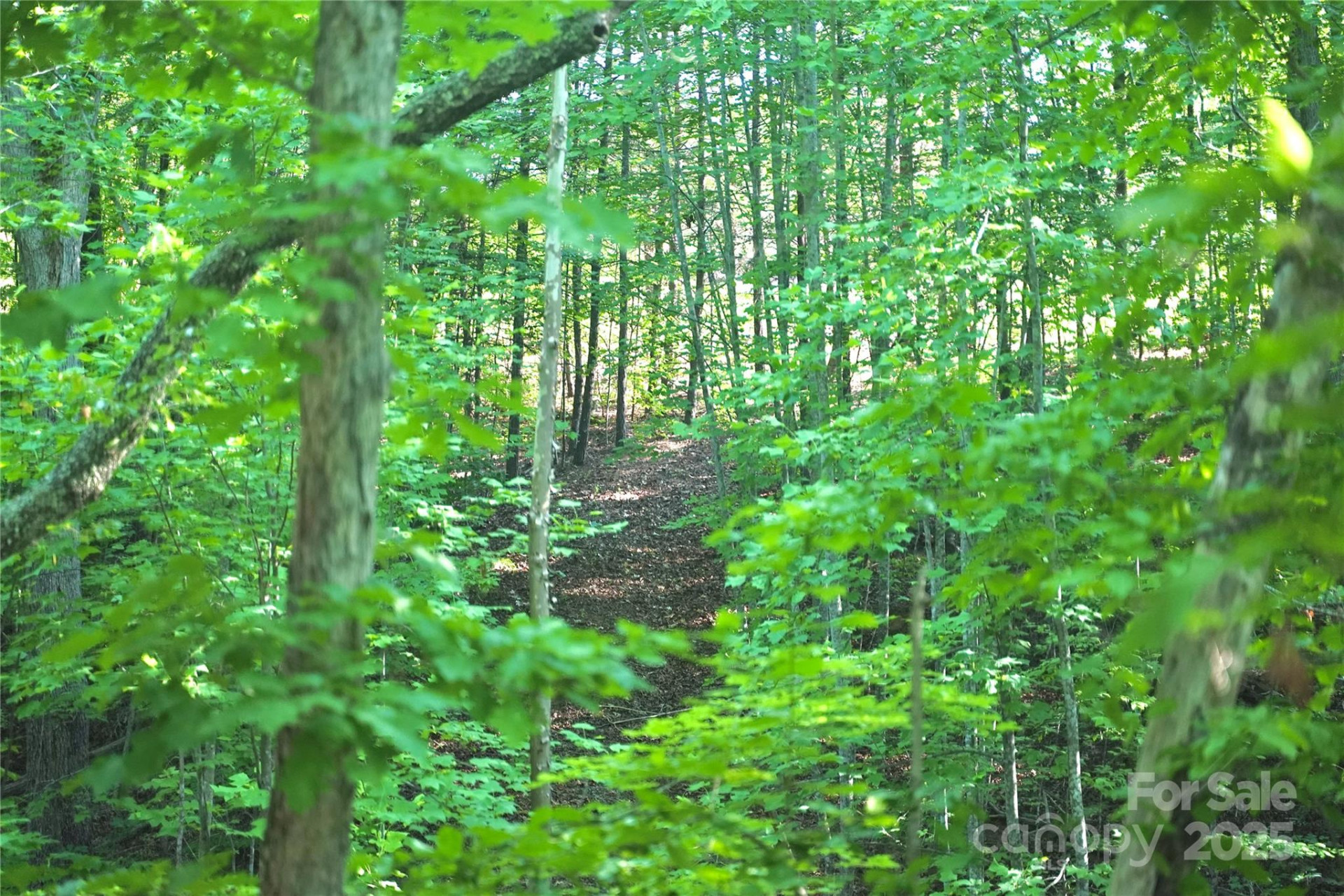 0 Parkway North None #13 - Photo 5