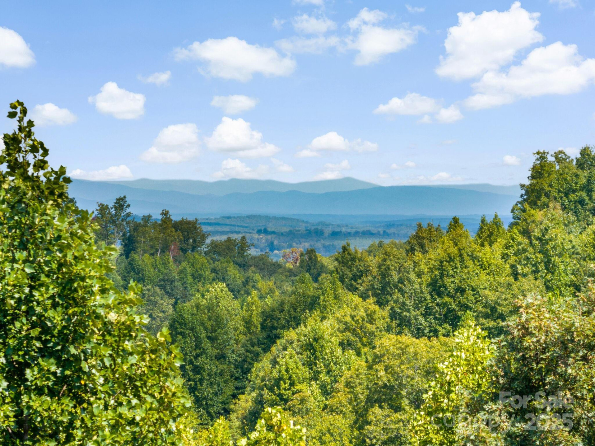 170 Summit Drive #63 - Photo 23