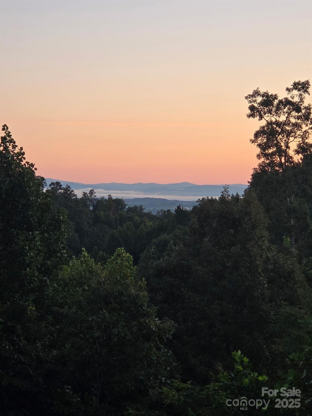 170 Summit Drive #63 - Photo 33