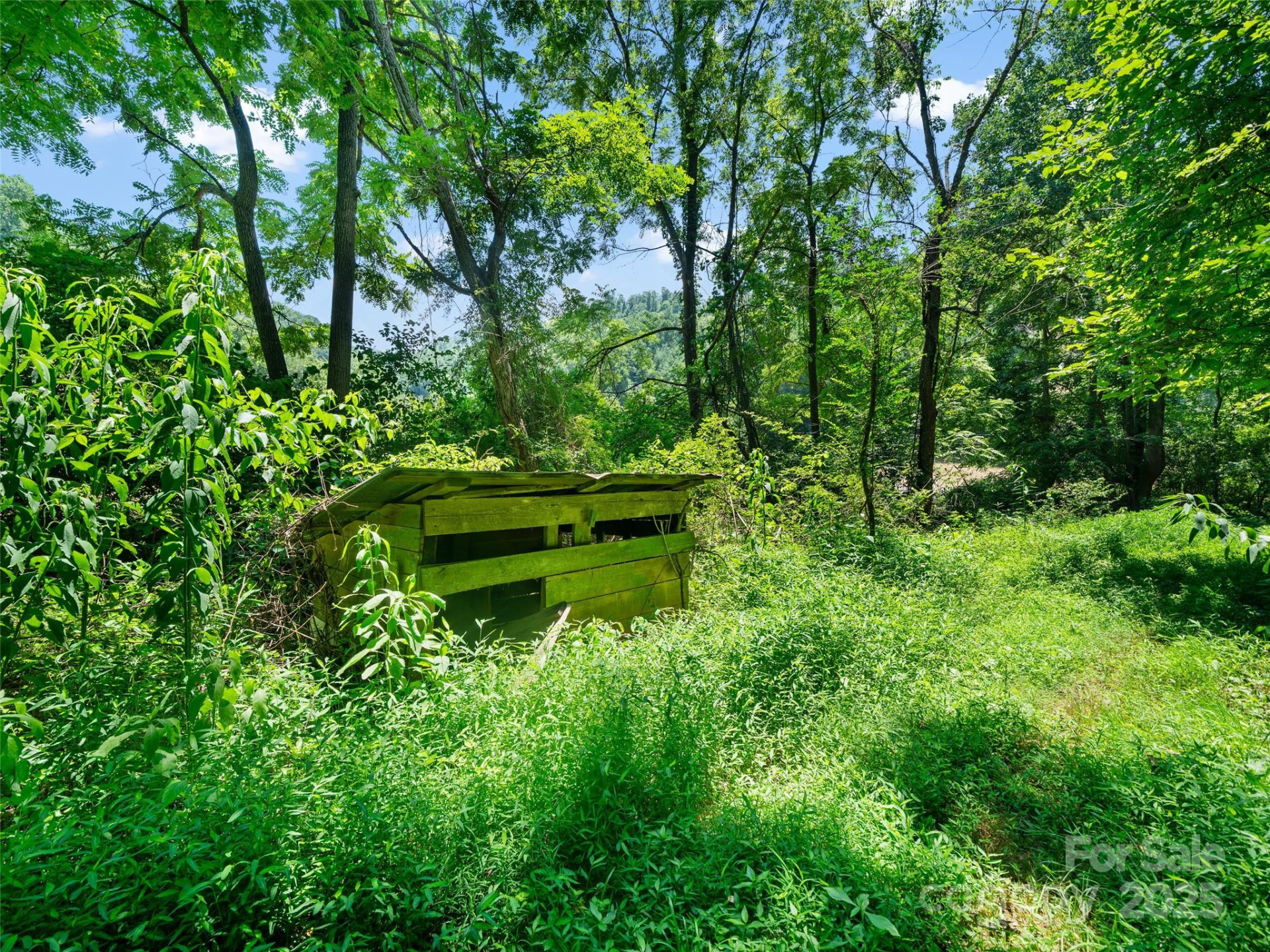 1377 Langford Branch Road - Photo 11