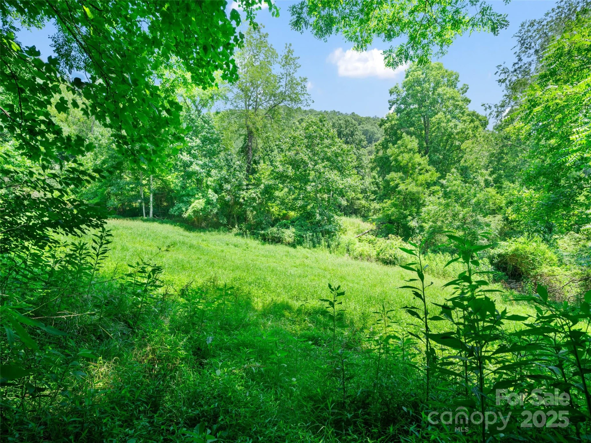 1377 Langford Branch Road - Photo 13