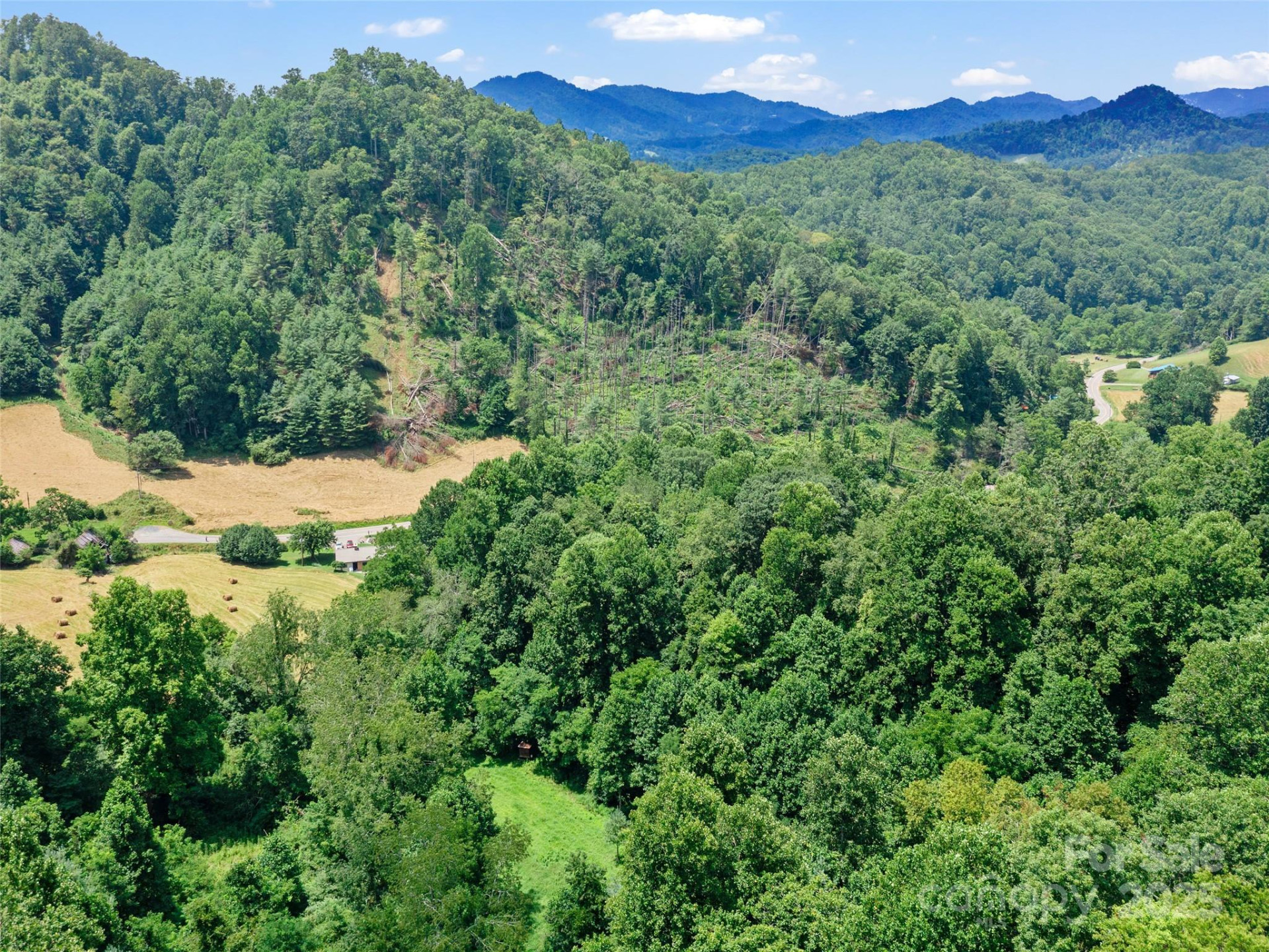 1377 Langford Branch Road - Photo 14