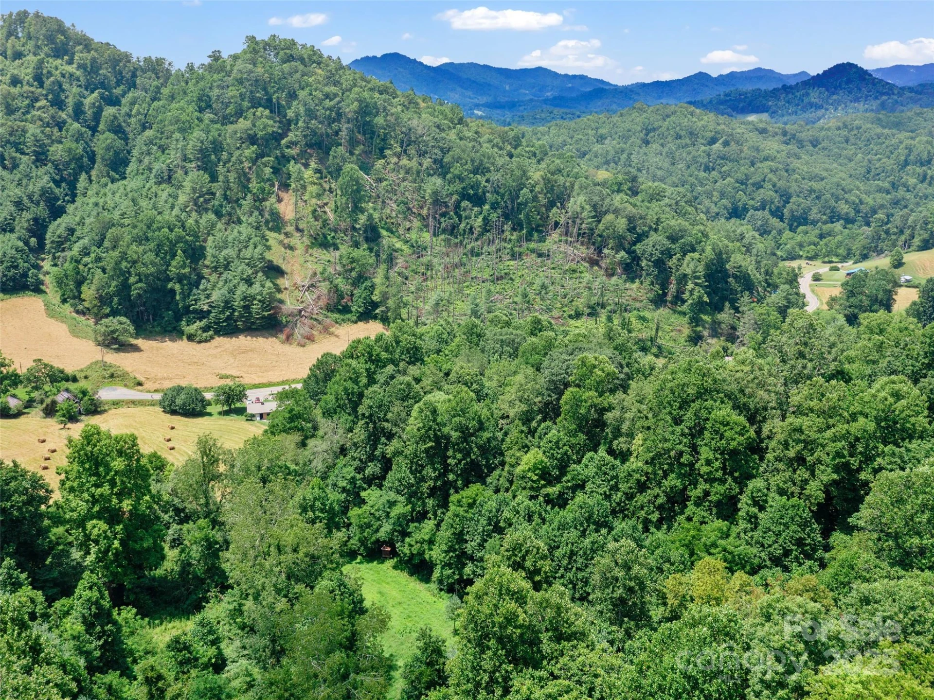1377 Langford Branch Road - Photo 14
