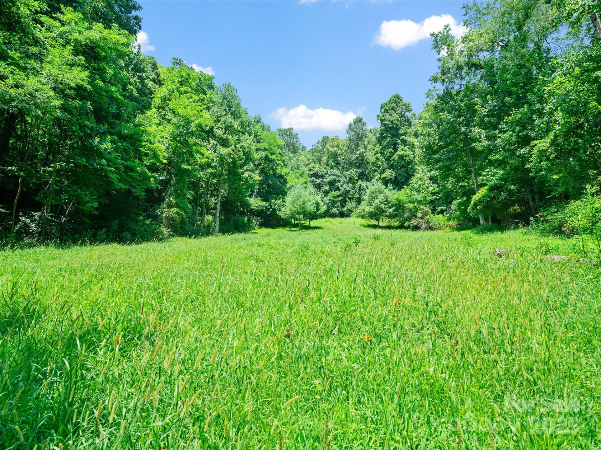 1377 Langford Branch Road - Photo 17
