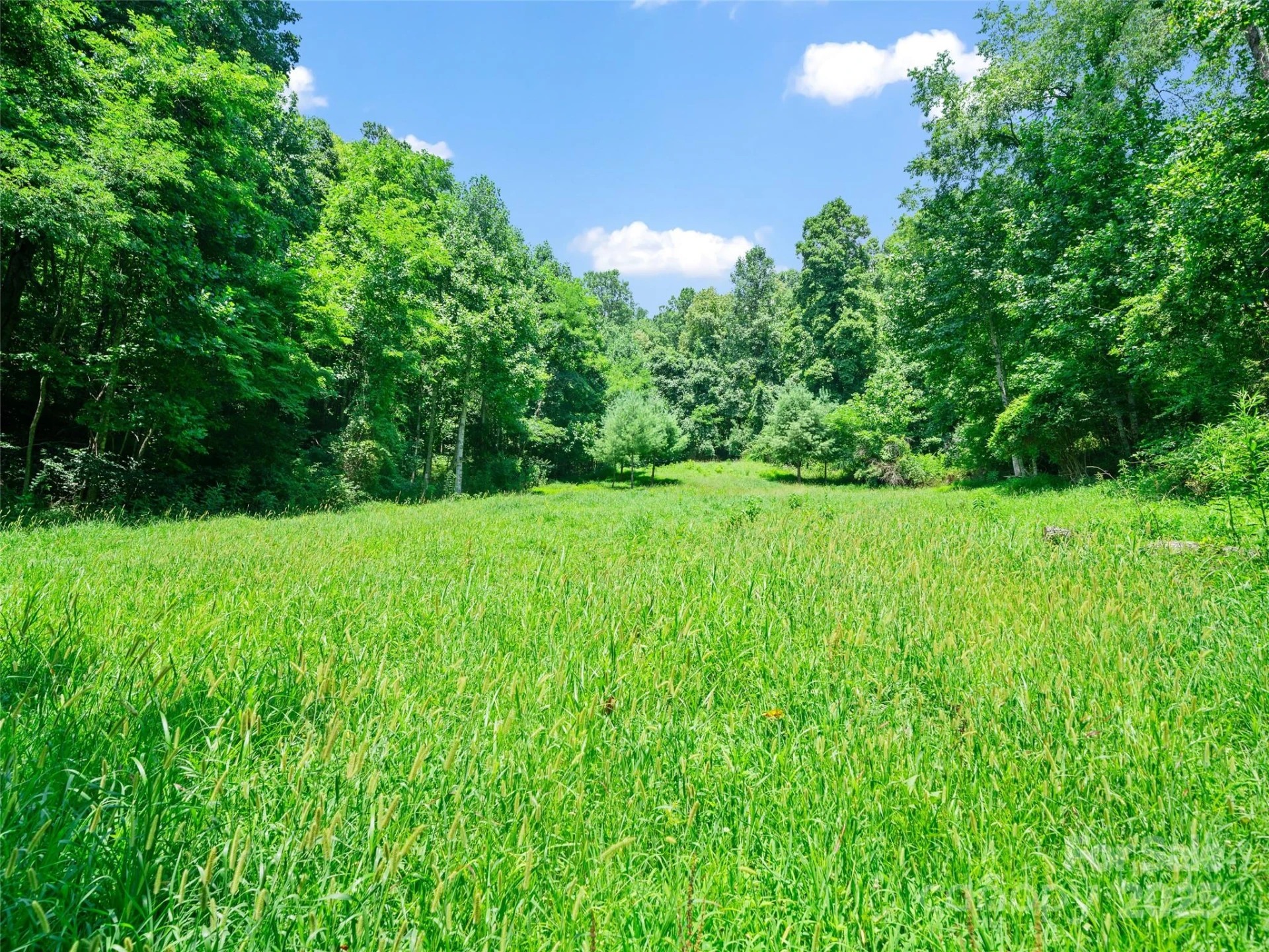1377 Langford Branch Road - Photo 17