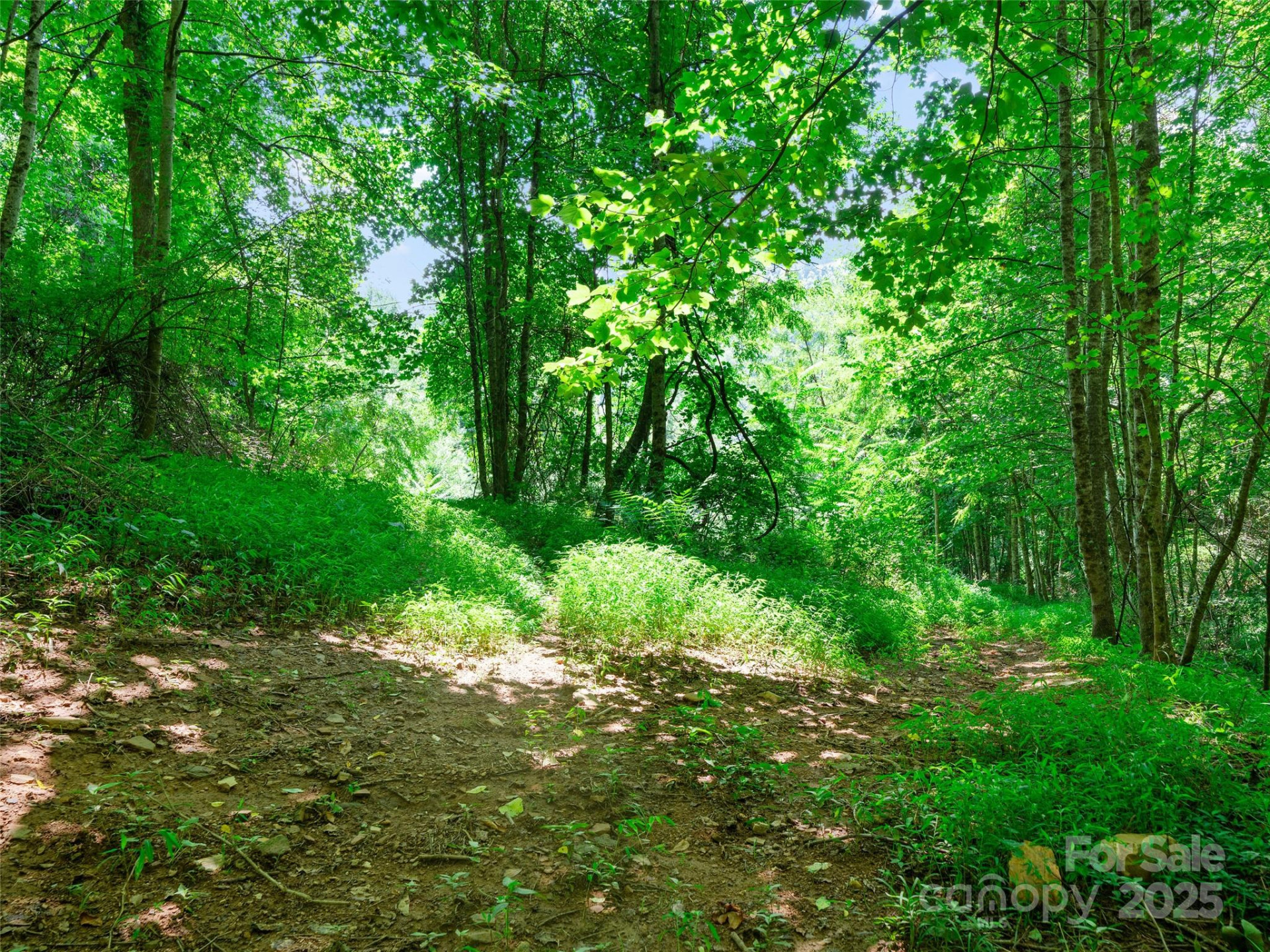 1377 Langford Branch Road - Photo 18