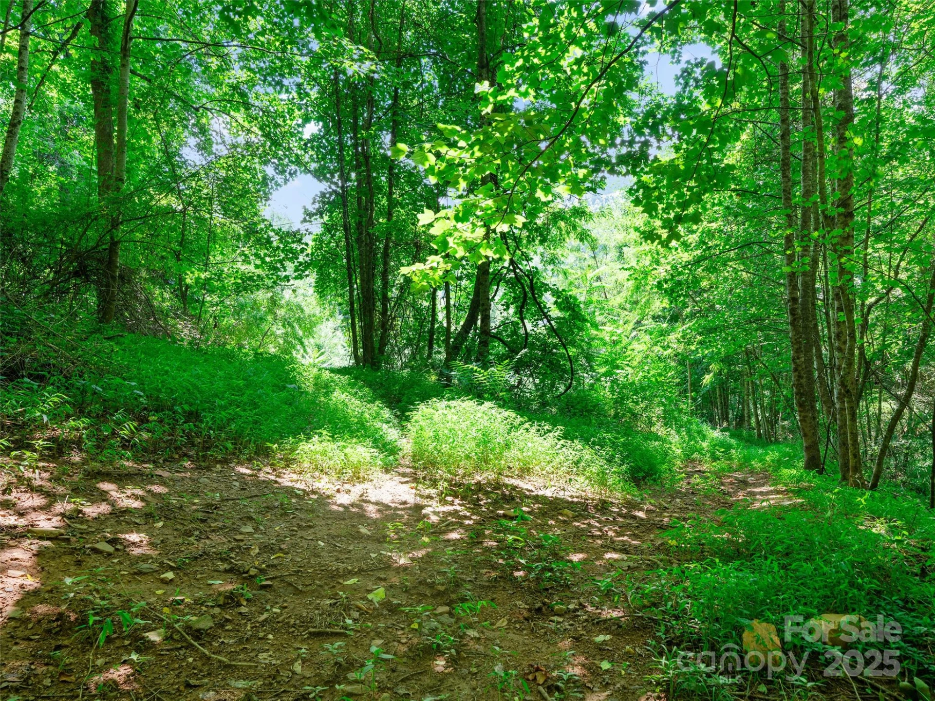 1377 Langford Branch Road - Photo 18