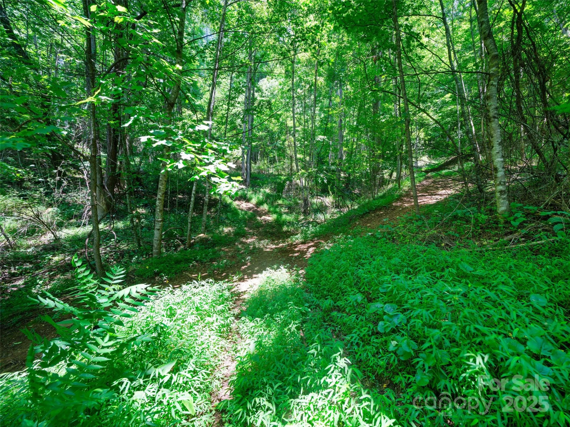 1377 Langford Branch Road - Photo 19