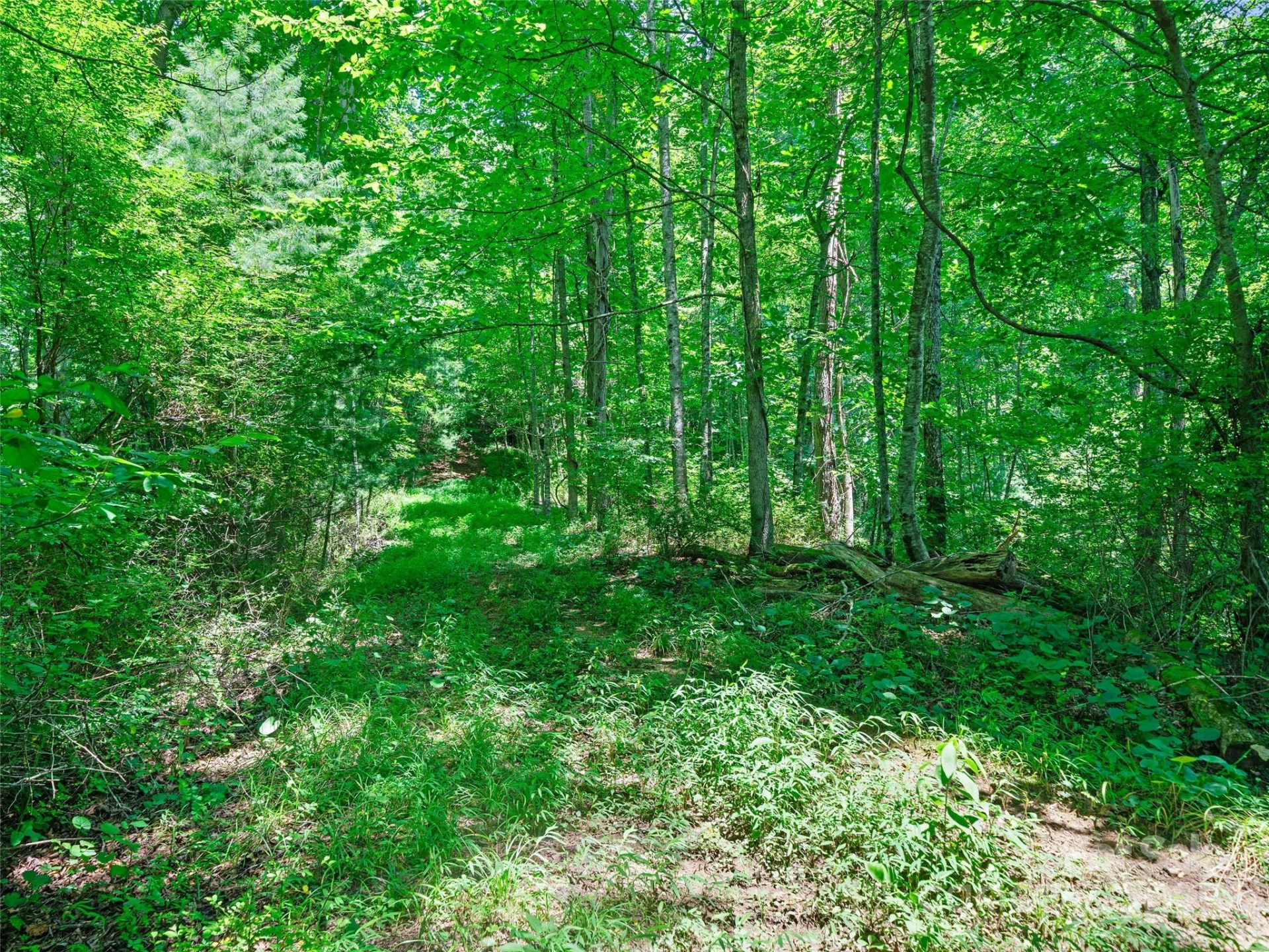 1377 Langford Branch Road - Photo 20