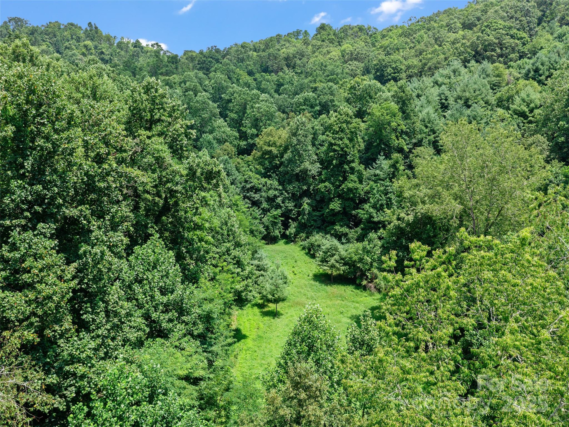 1377 Langford Branch Road - Photo 3