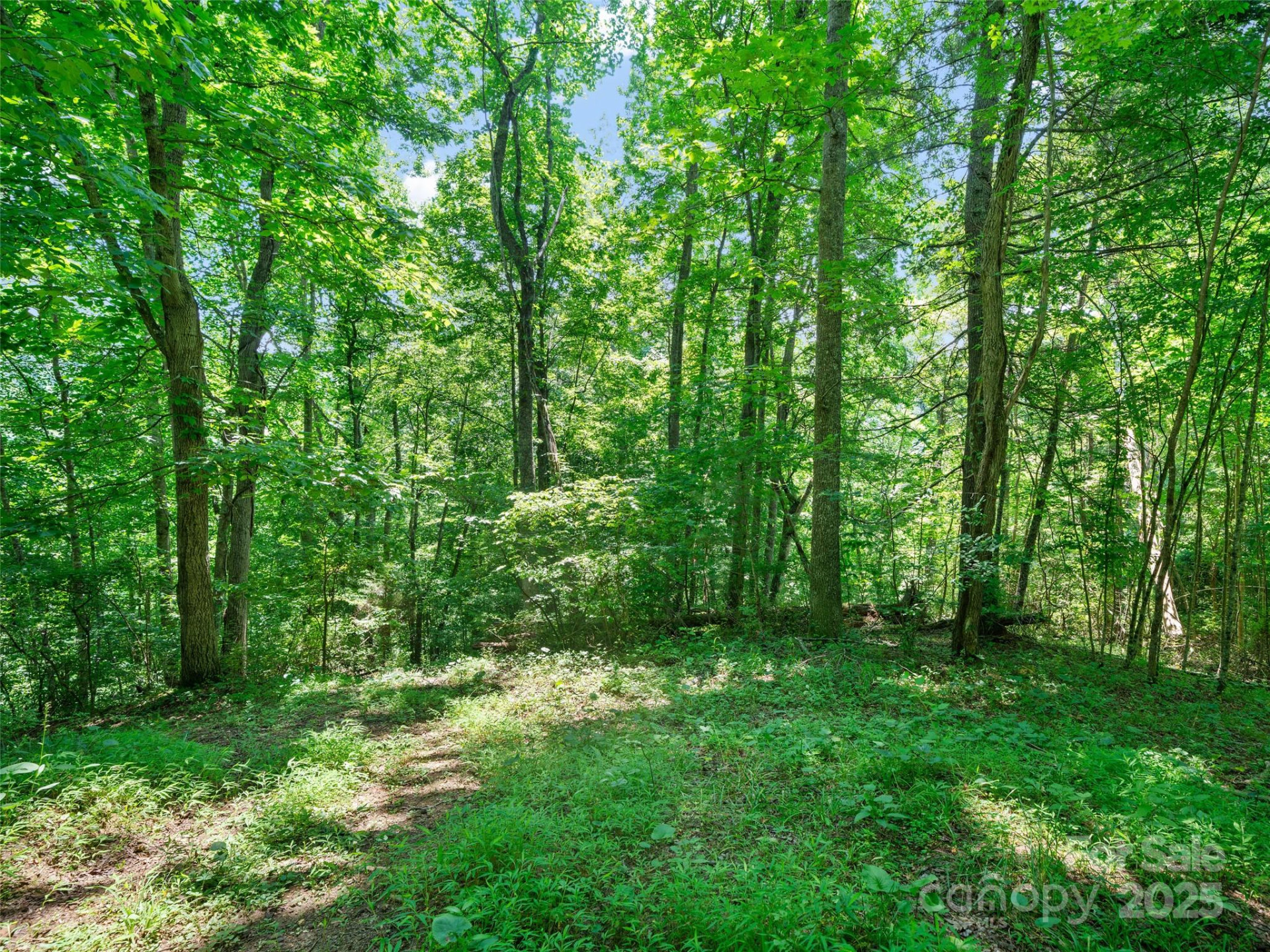 1377 Langford Branch Road - Photo 21