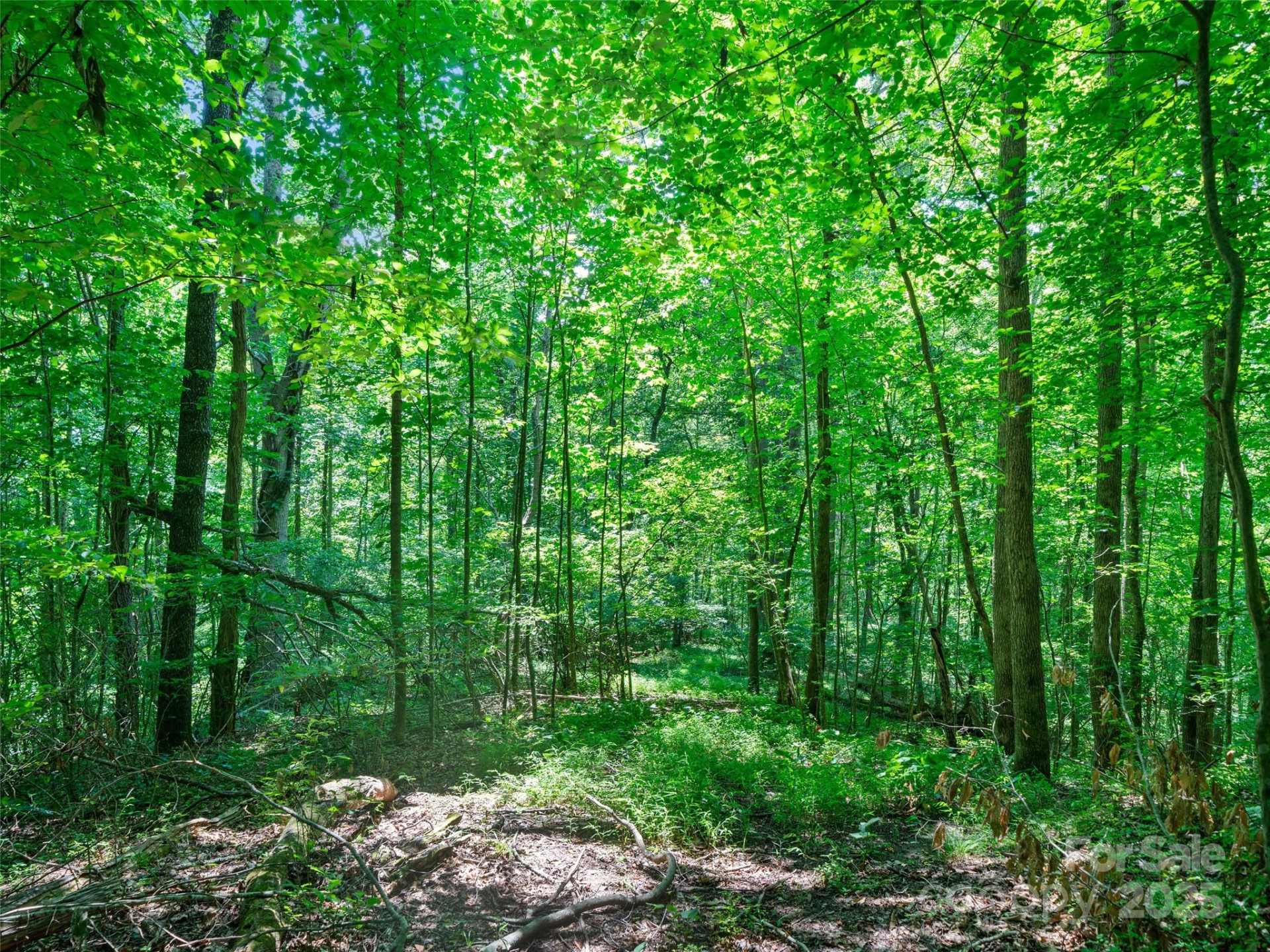 1377 Langford Branch Road - Photo 22