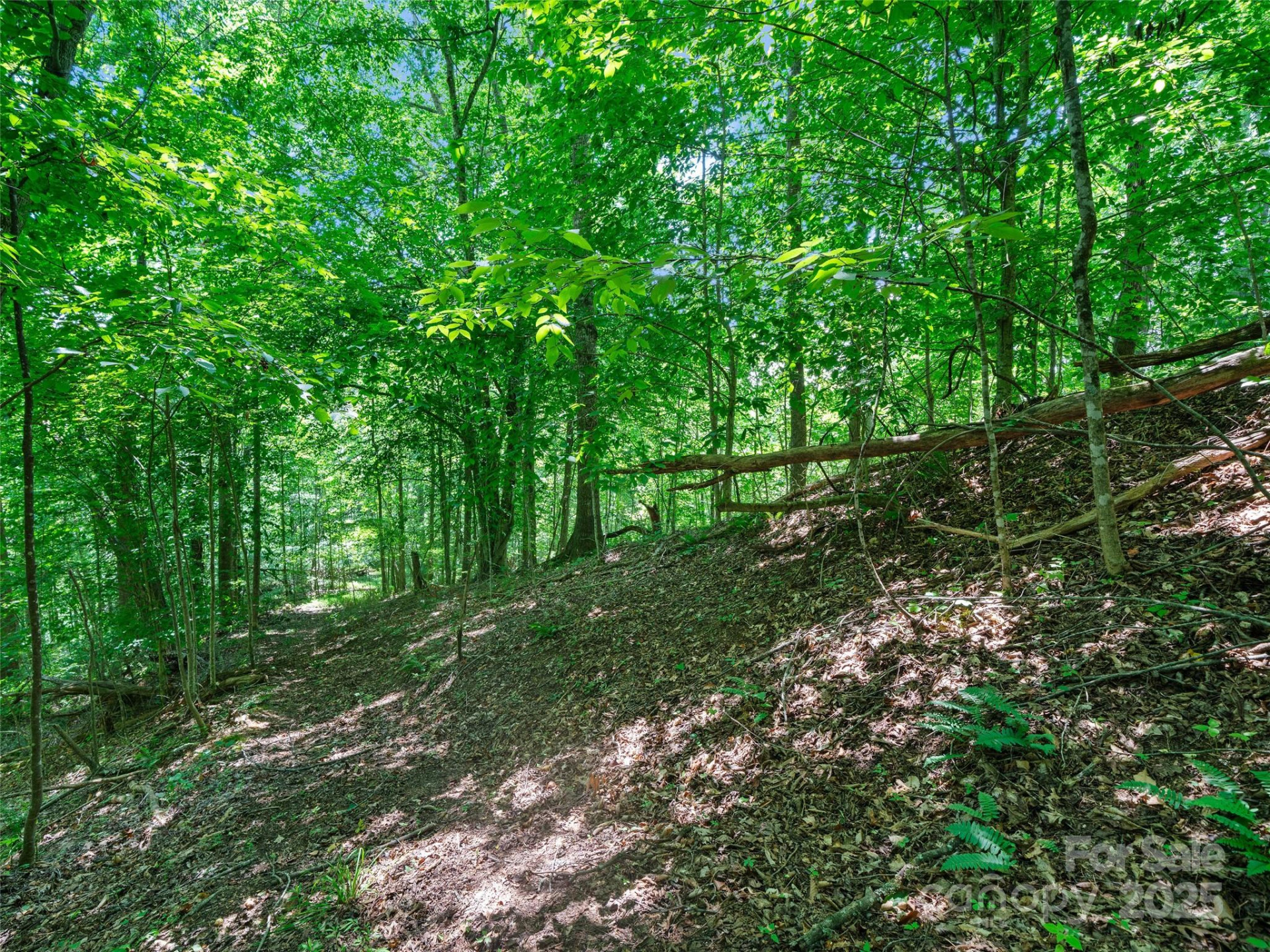1377 Langford Branch Road - Photo 23