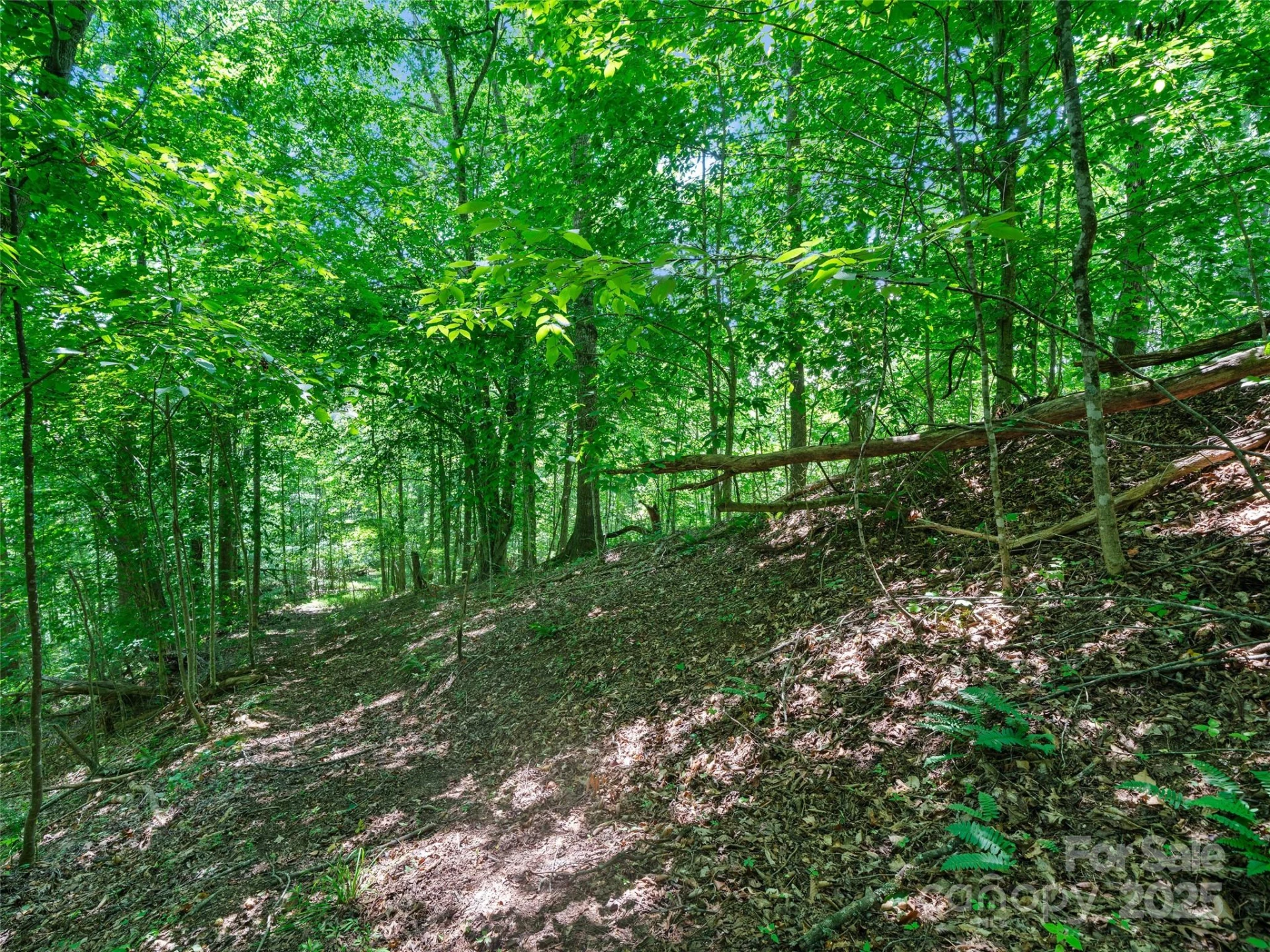 1377 Langford Branch Road - Photo 23