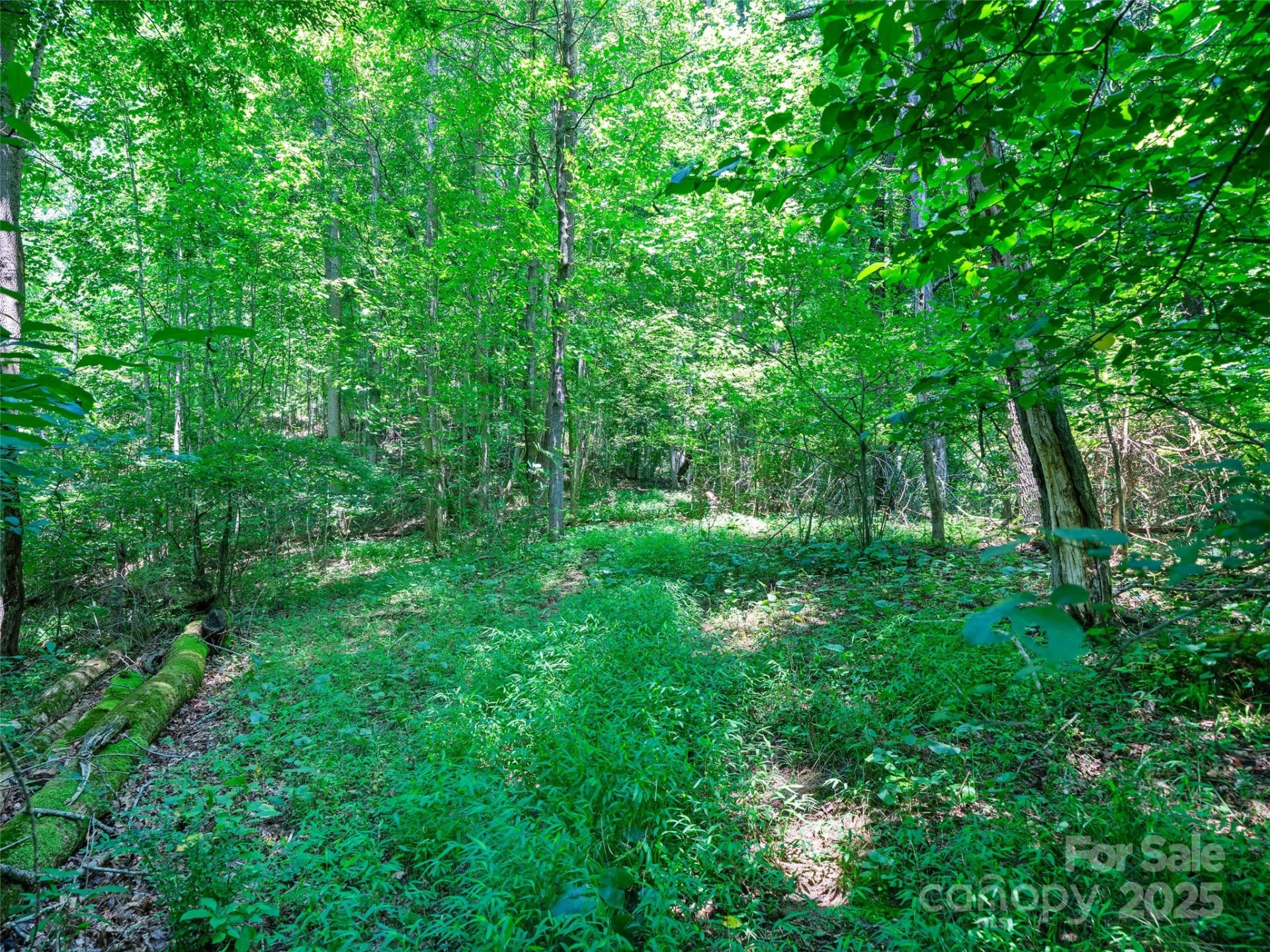 1377 Langford Branch Road - Photo 24