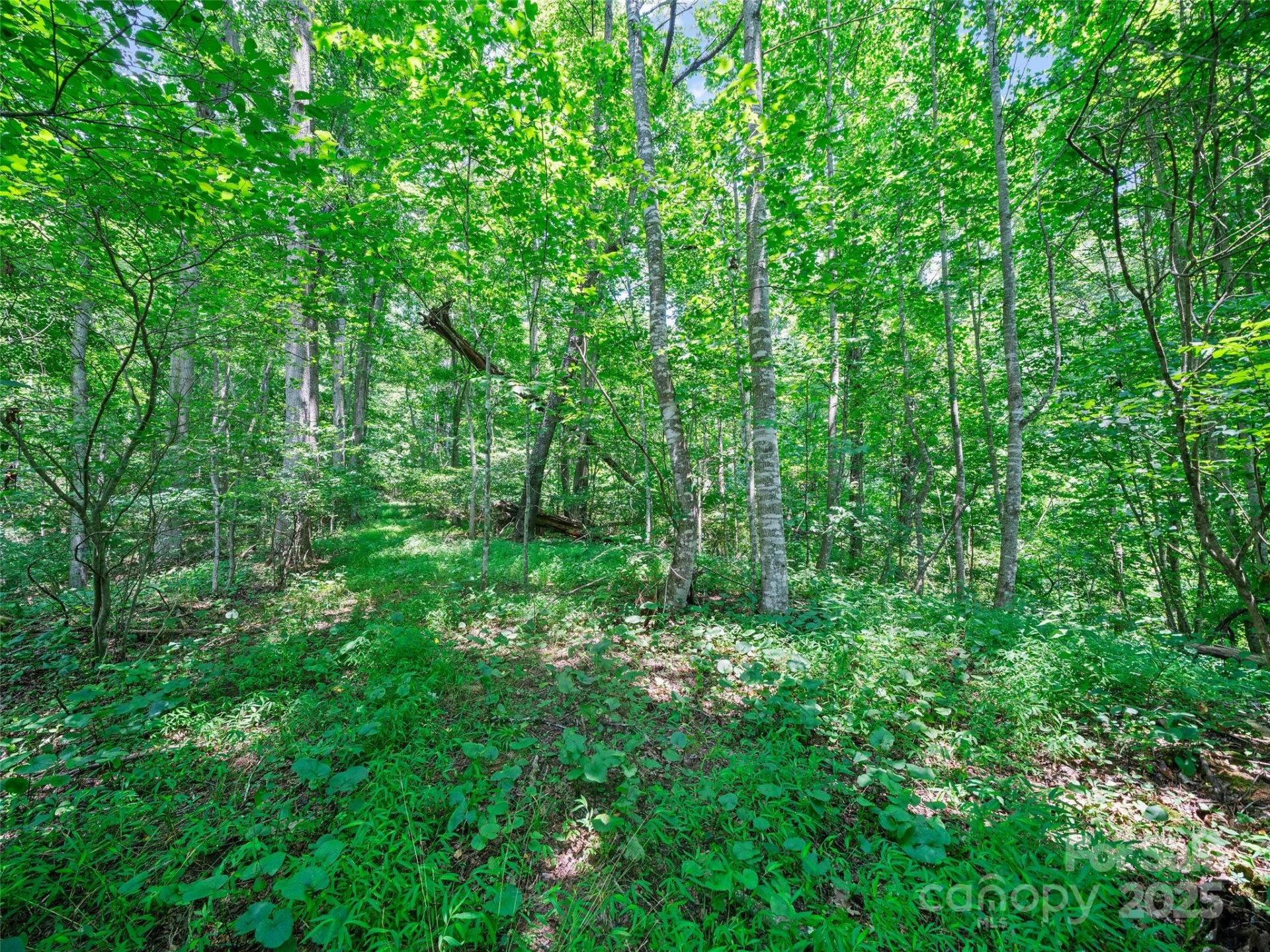 1377 Langford Branch Road - Photo 25