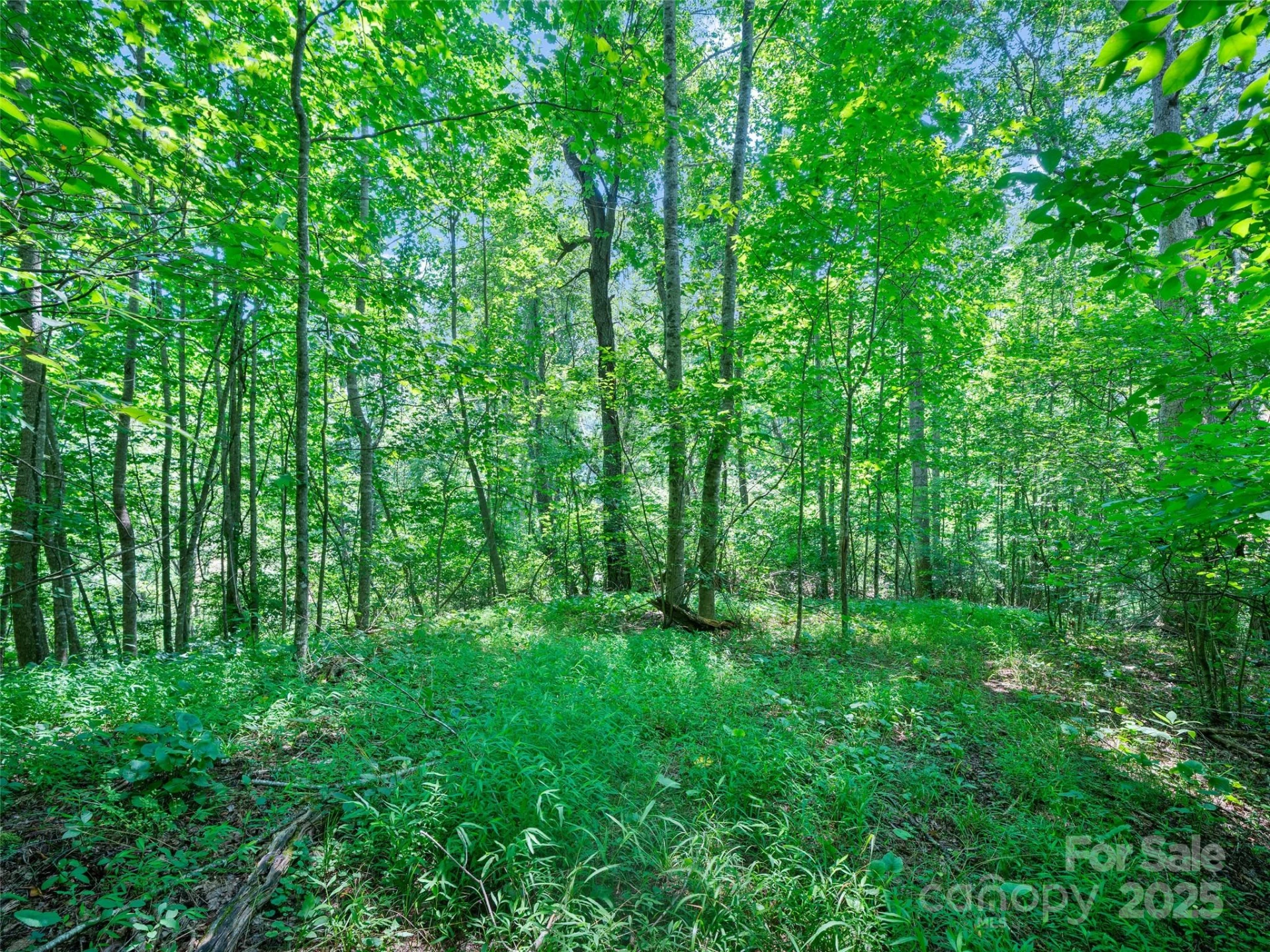 1377 Langford Branch Road - Photo 26