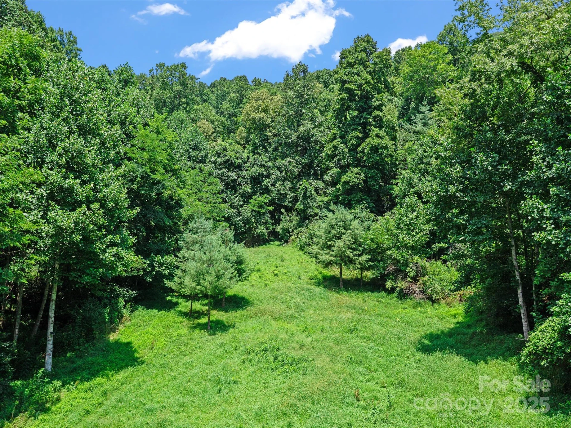 1377 Langford Branch Road - Photo 30
