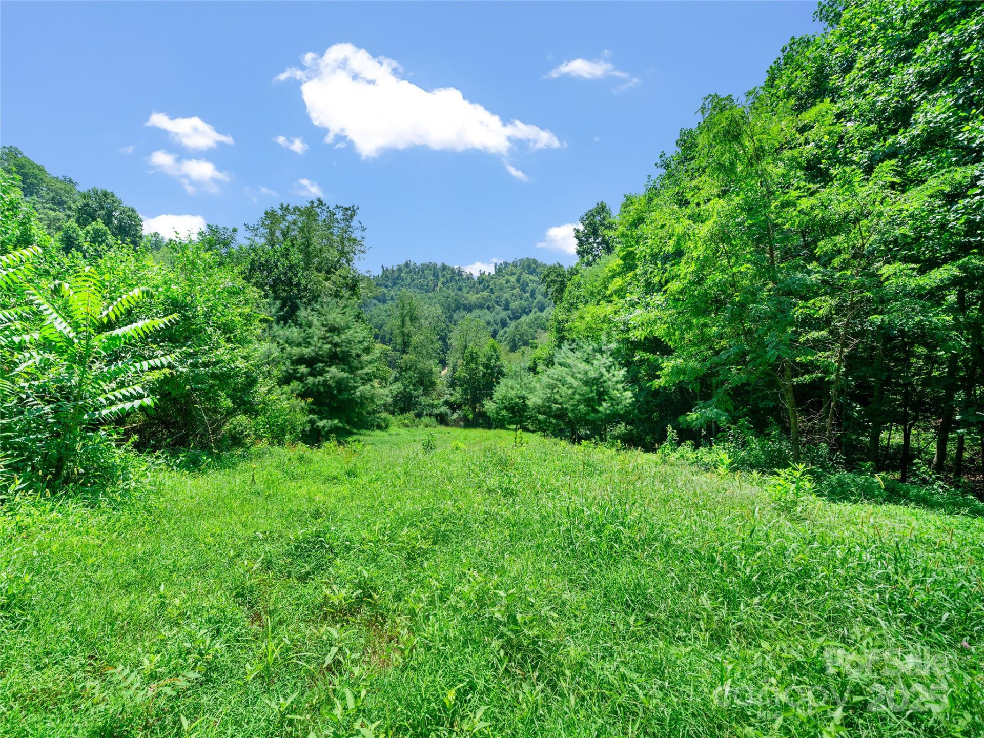 1377 Langford Branch Road - Photo 4